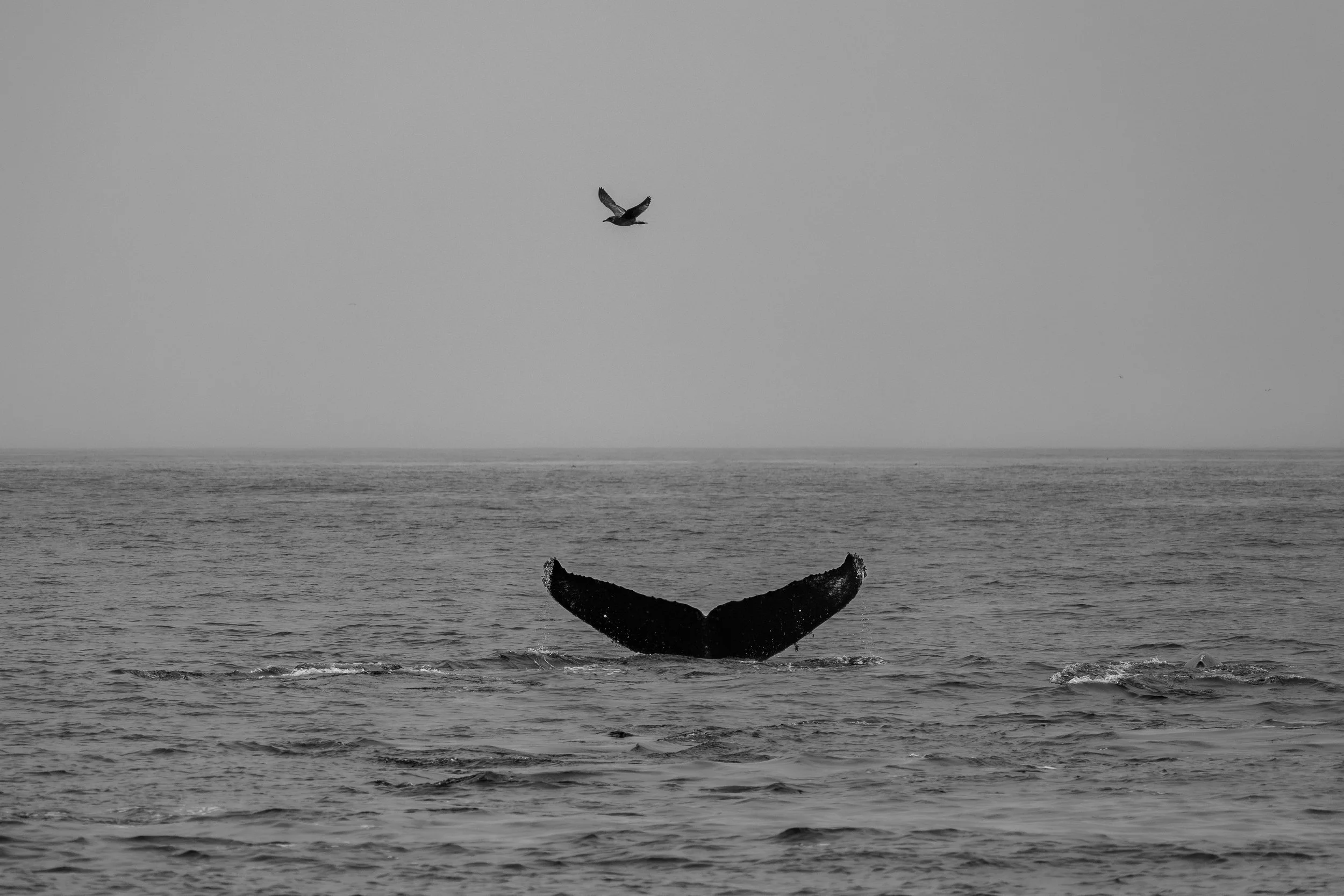 DSC_0147.jpg