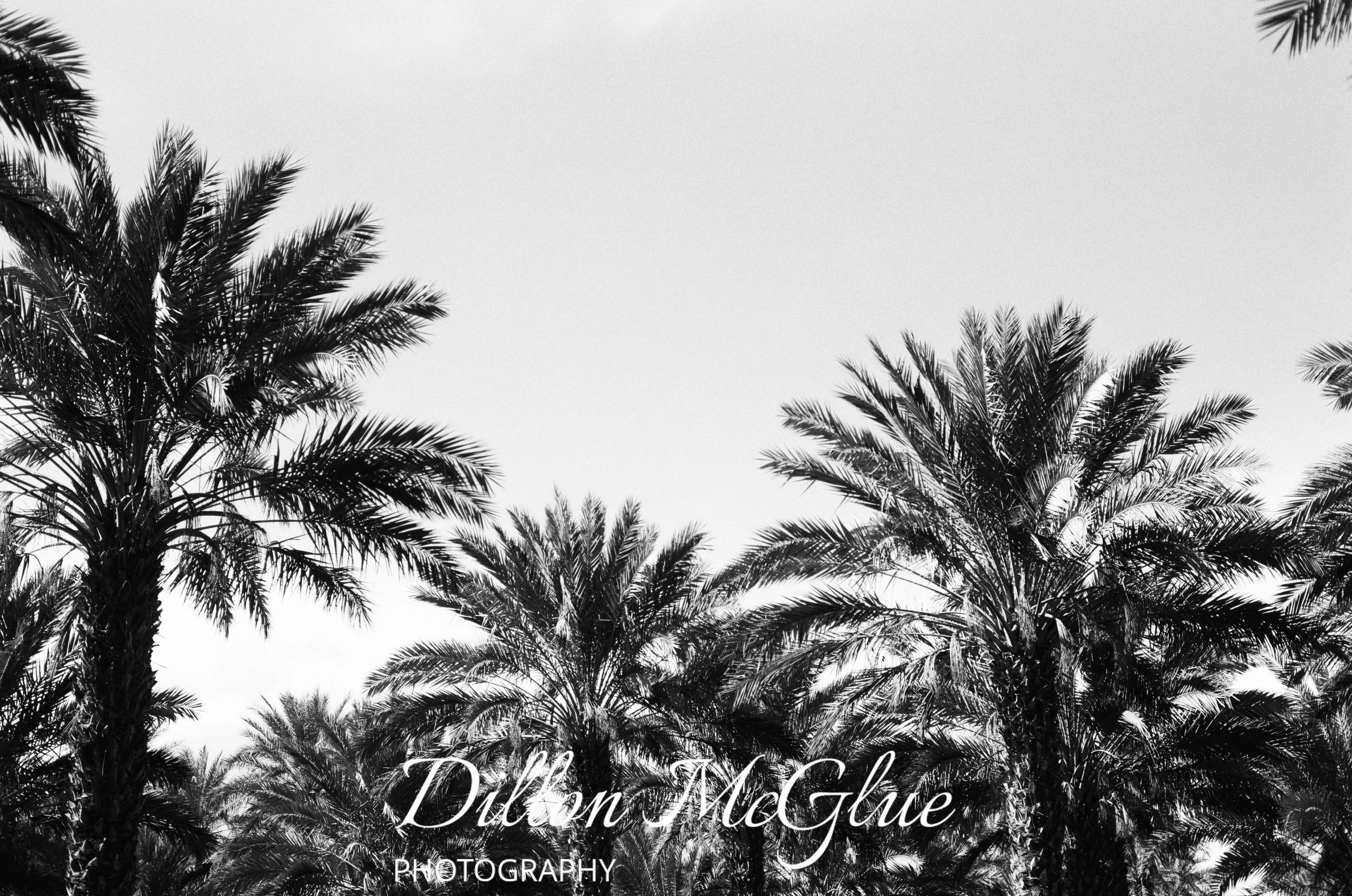 Joshua Tree, California USA