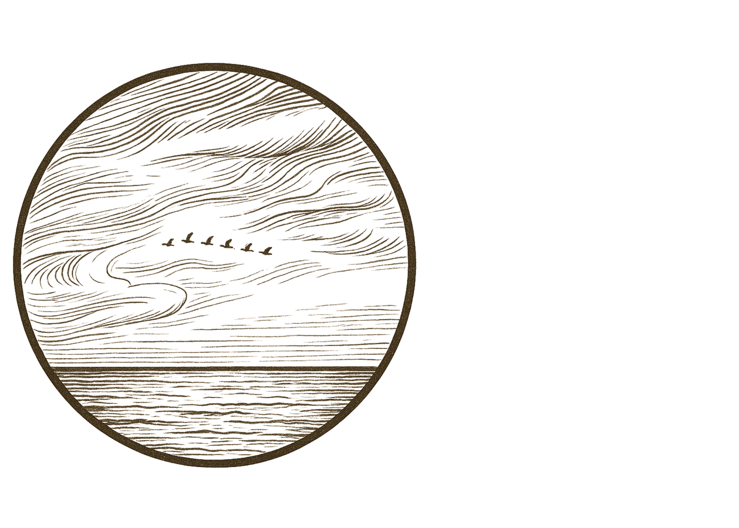 Dillon McGlue Photography