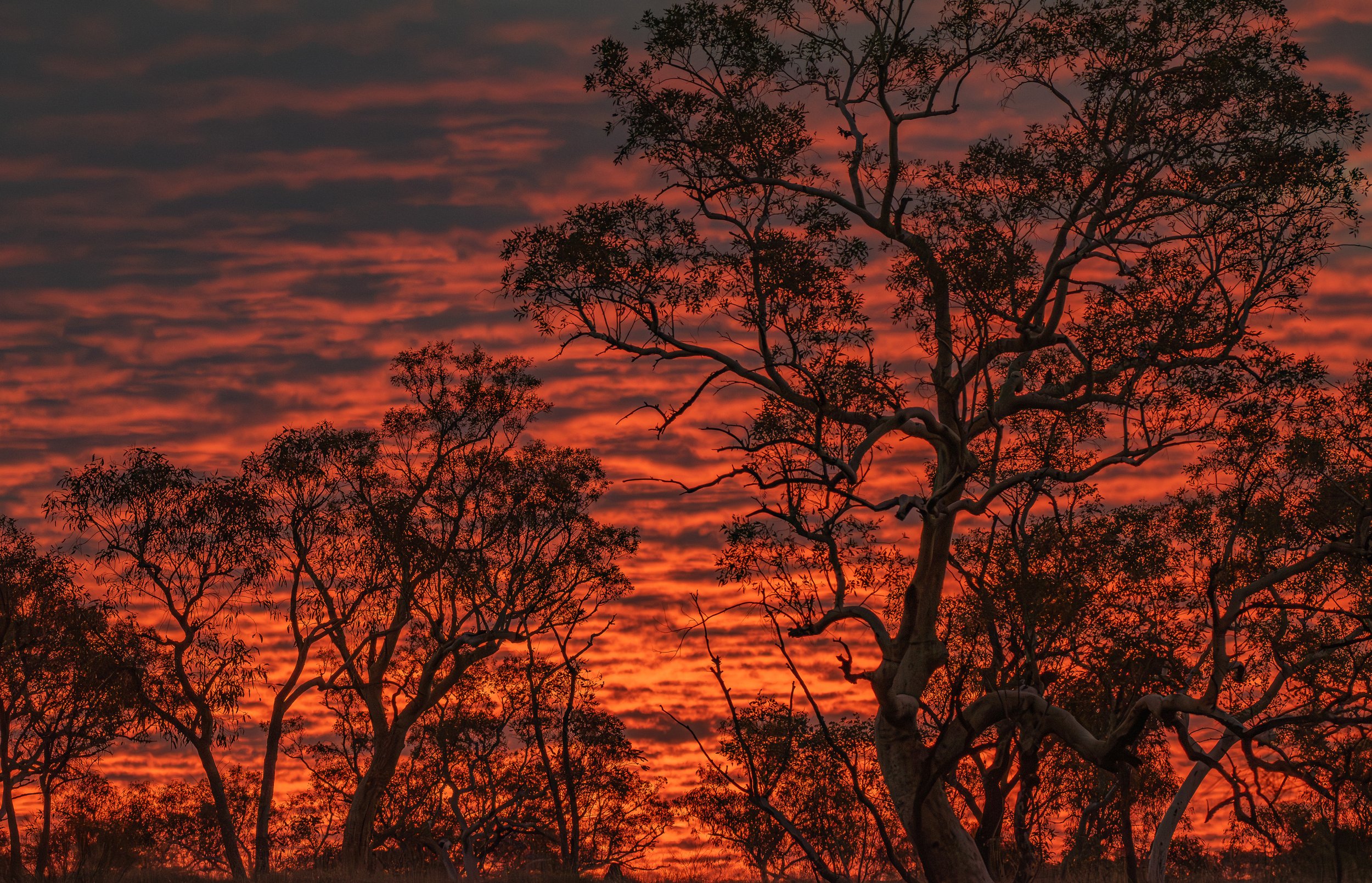 DSC_0459-Enhanced-NR copy.jpg