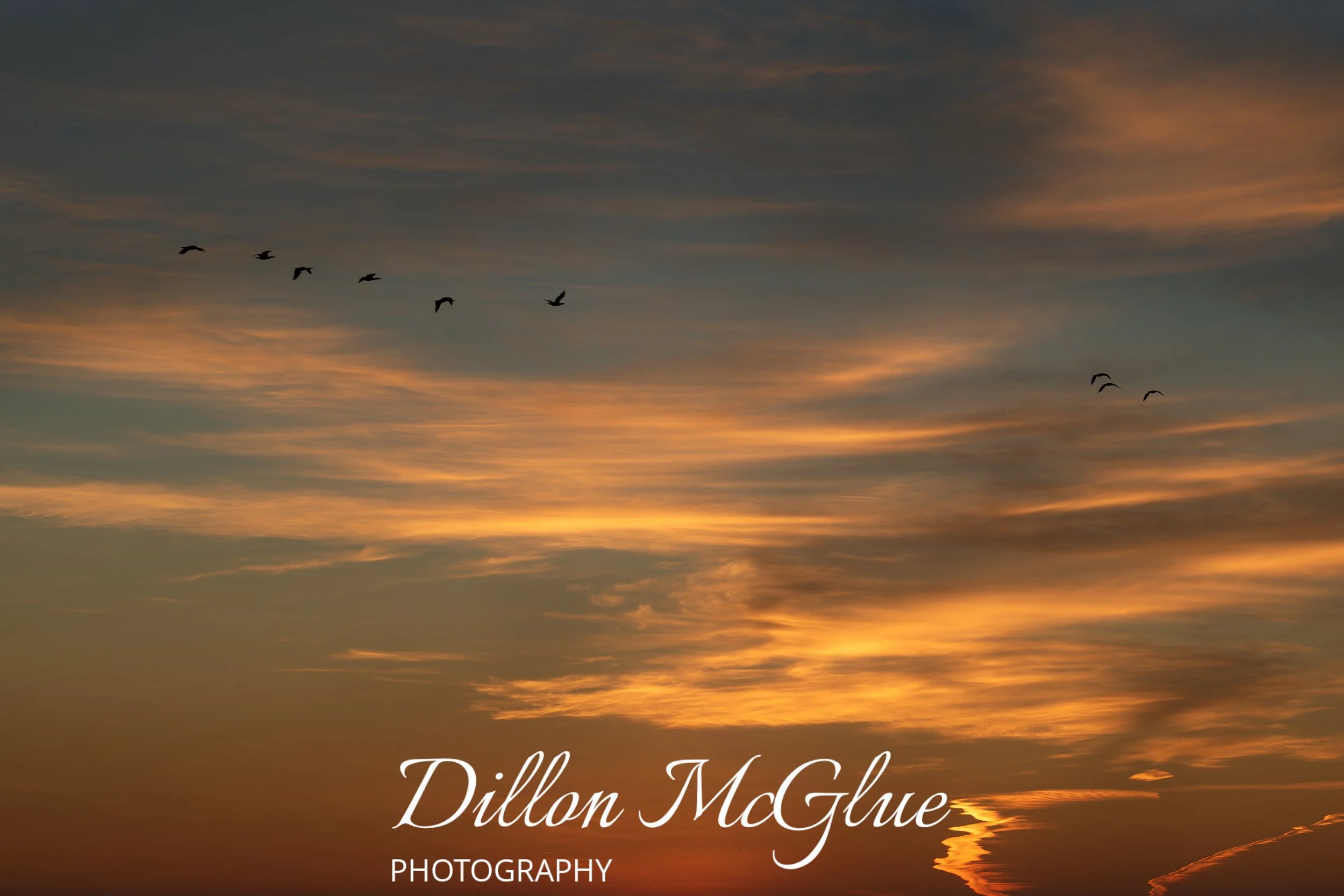 Santa Cruz, California USA