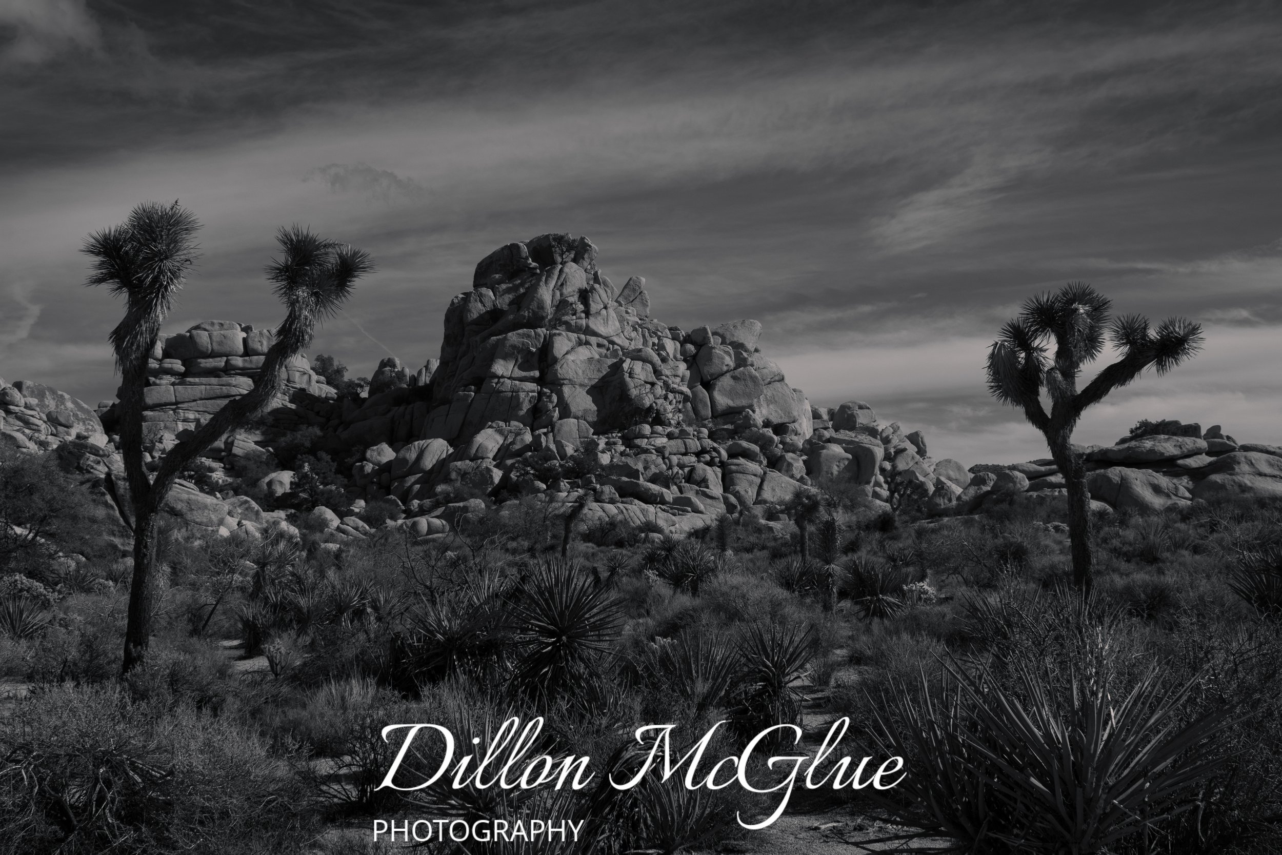 Joshua Tree, California USA