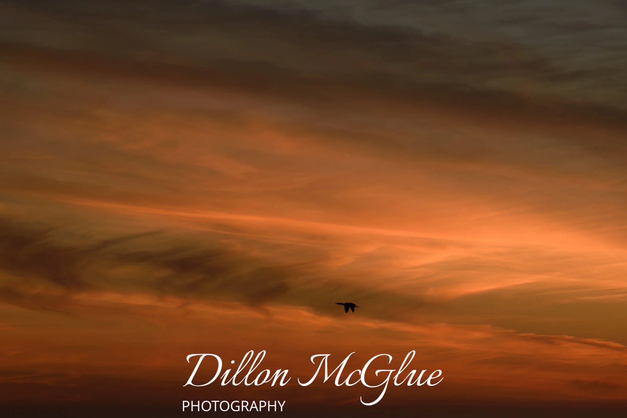 Santa Cruz, California USA