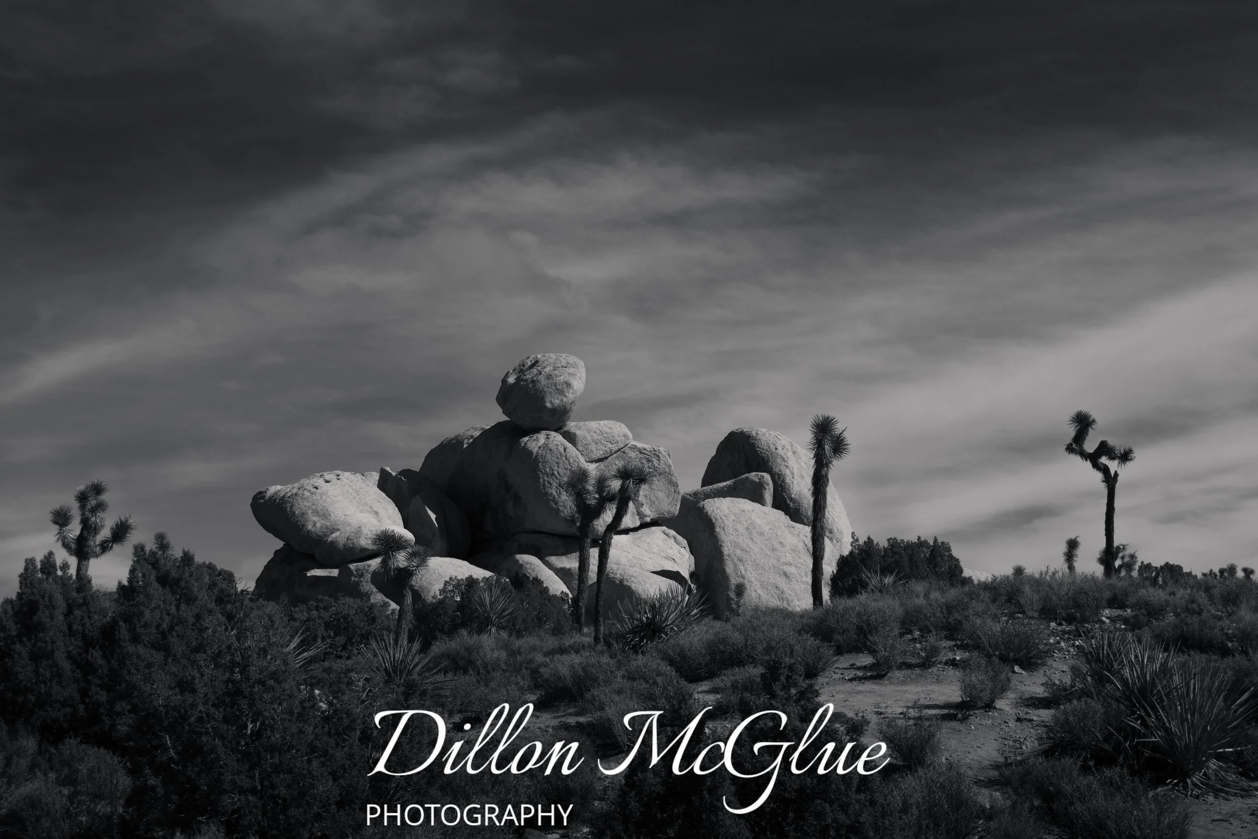 Joshua Tree, California USA