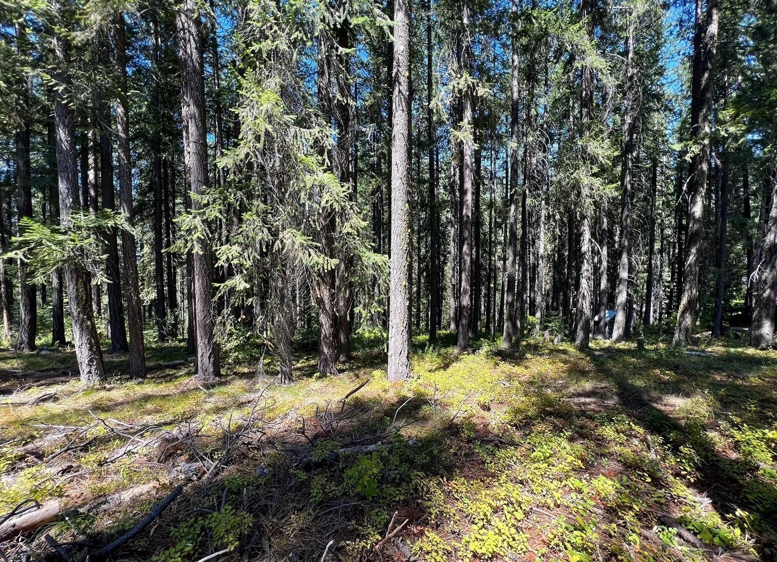 LAND - Represented Buyer | Leavenworth  | $165,000