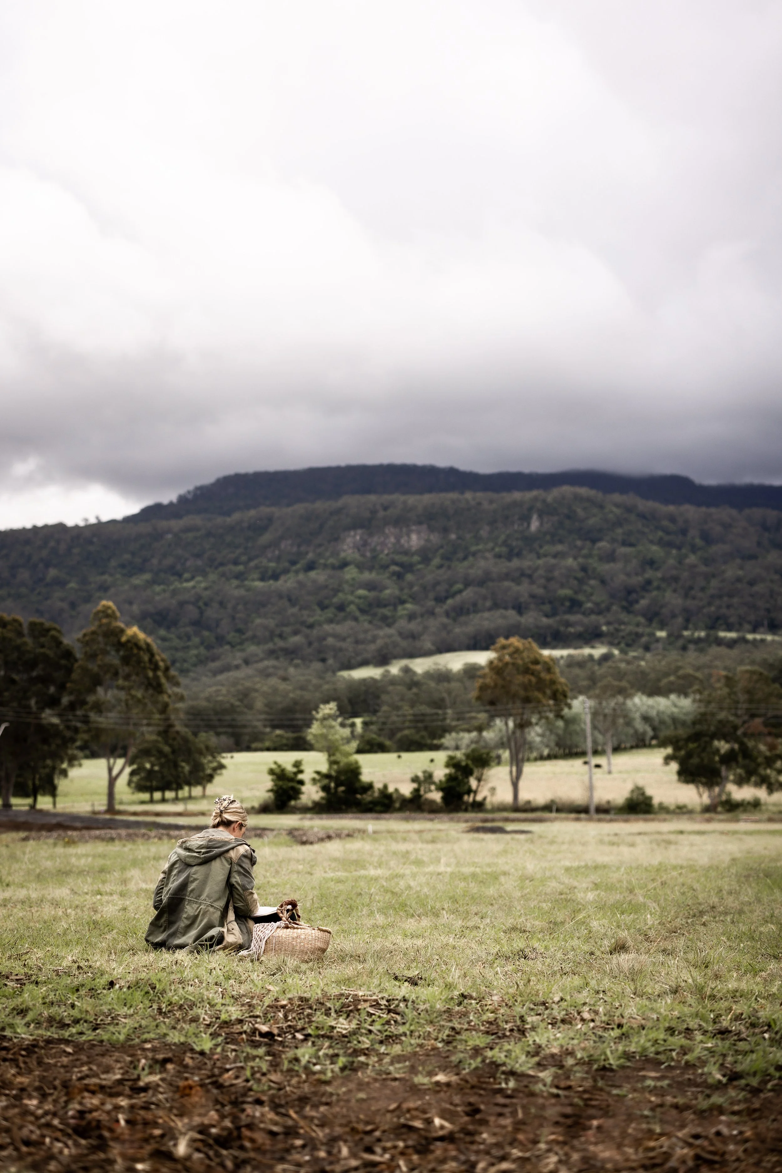 The Architect visits site with a woven basket to draw and sketch inspiration of the surrounding rural landscape, paddocks, pasture, trees, hills in the immediate background.