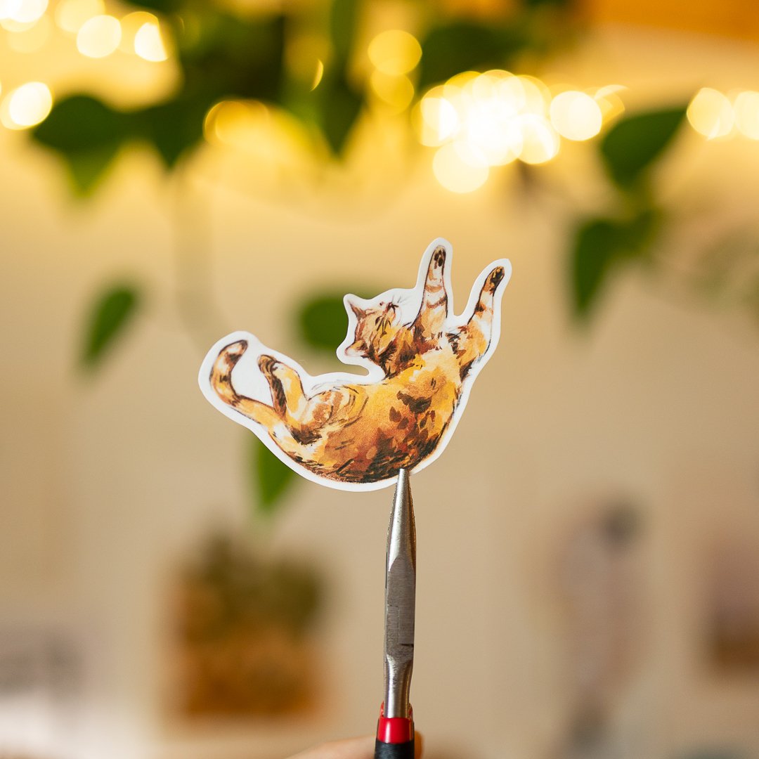 "orange cat" sticker