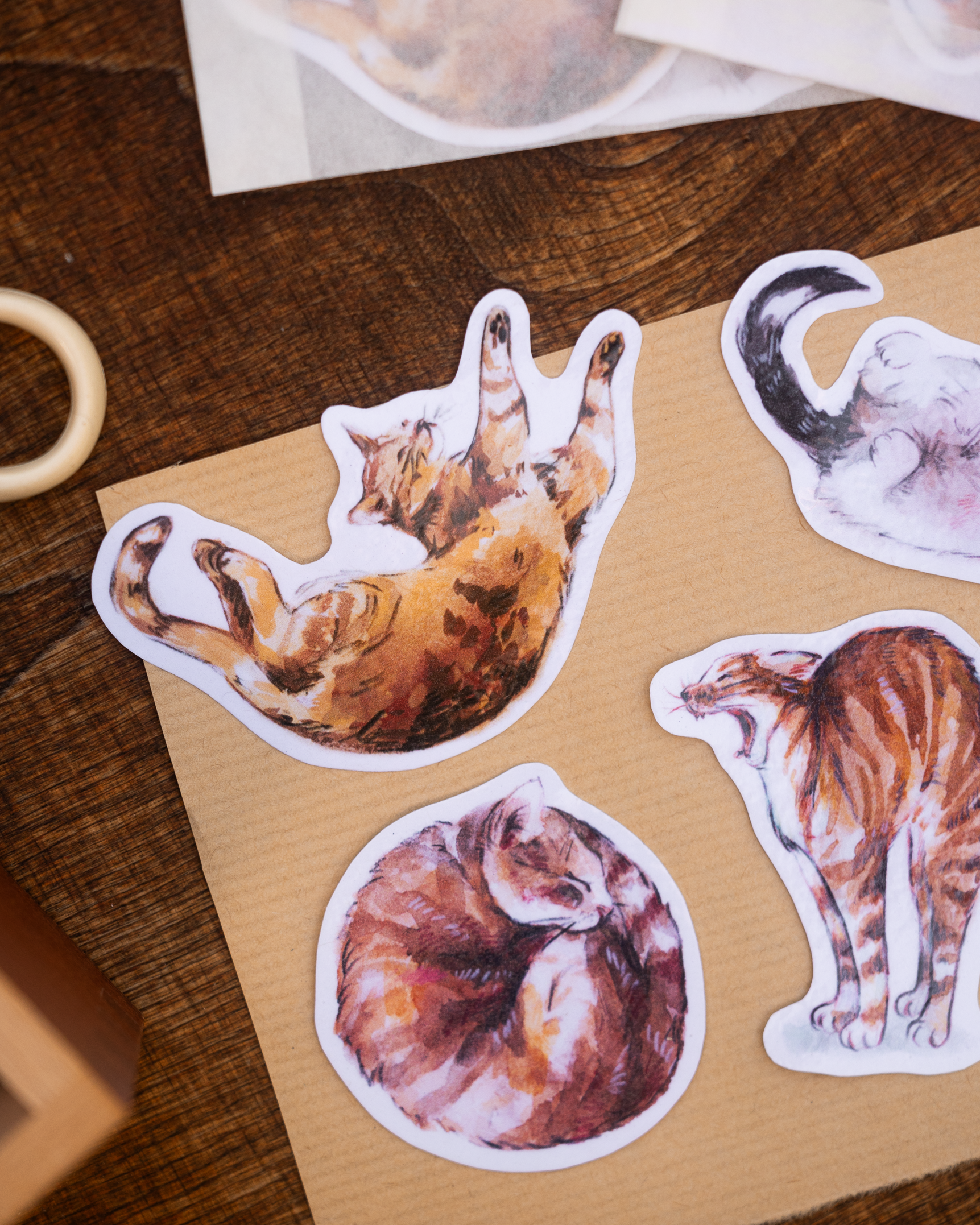 pilze&katzen-produktfotos-5.png
