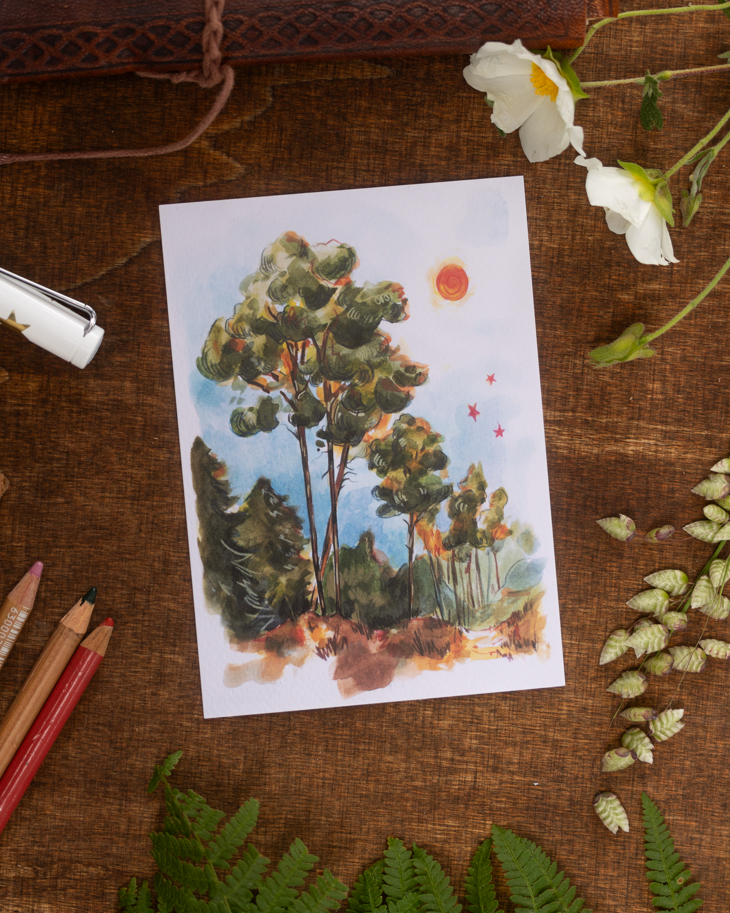 "Evening Pine Trees" Postcard