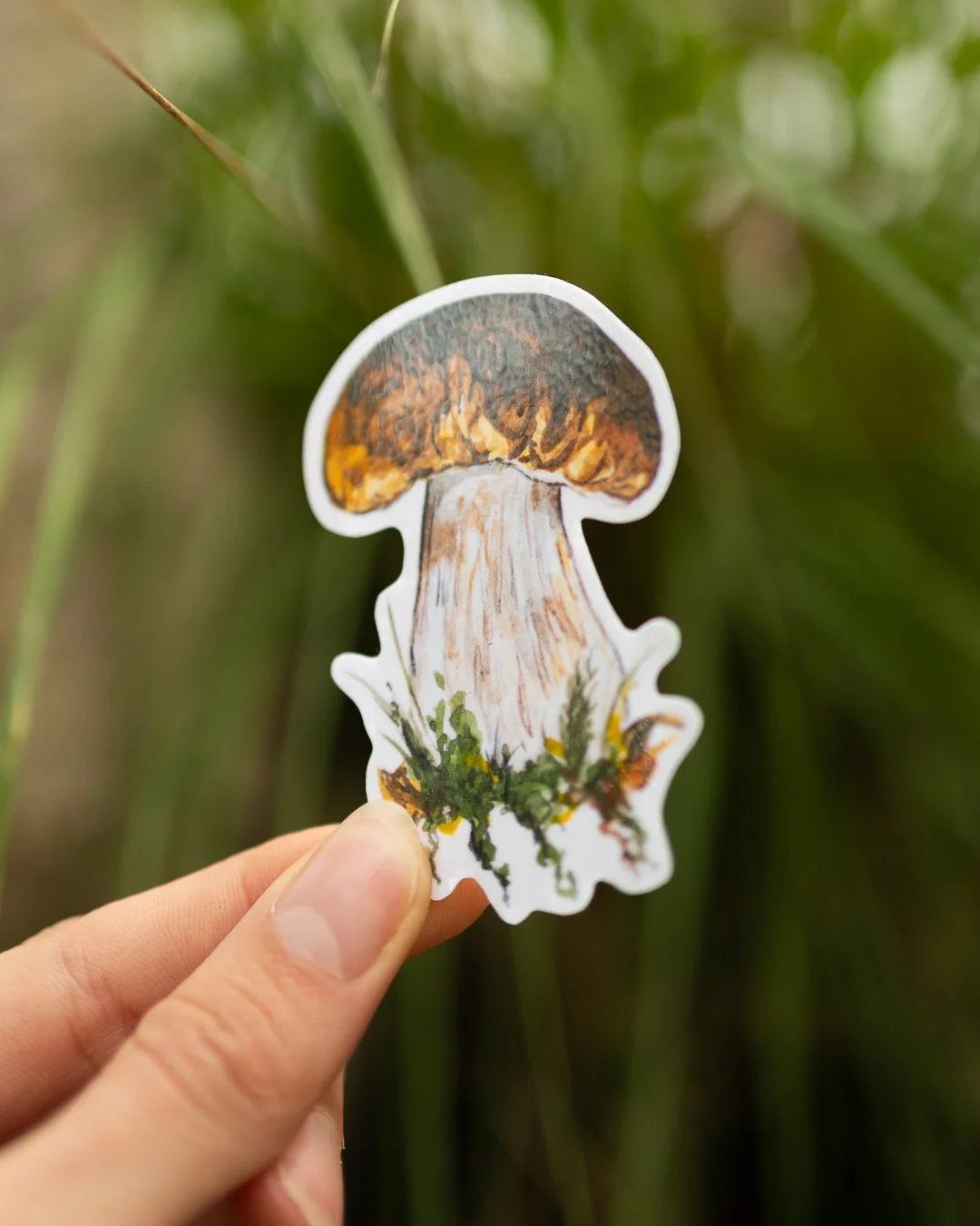 postcards-stickers-31.jpg