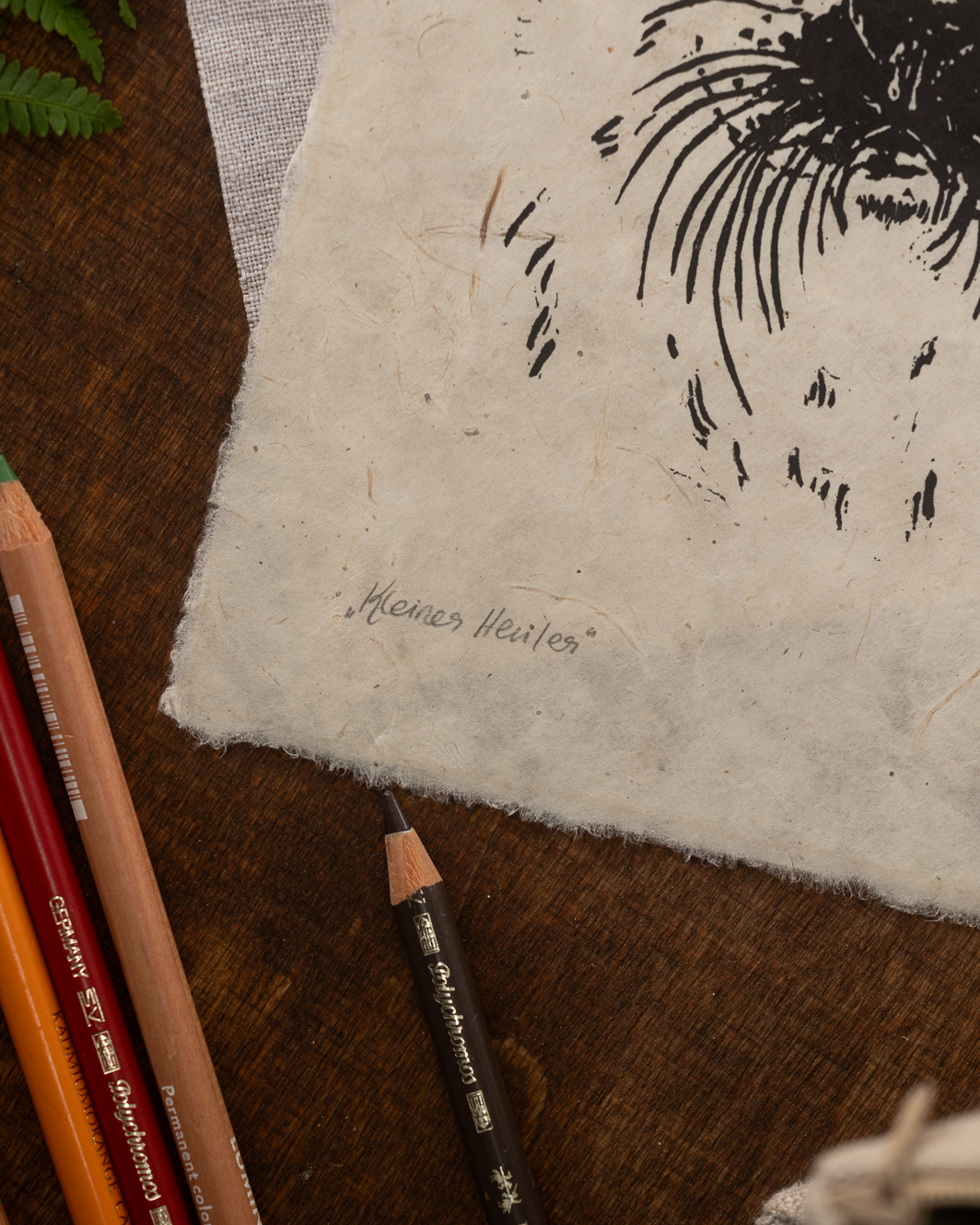 neue-renderings-83.png