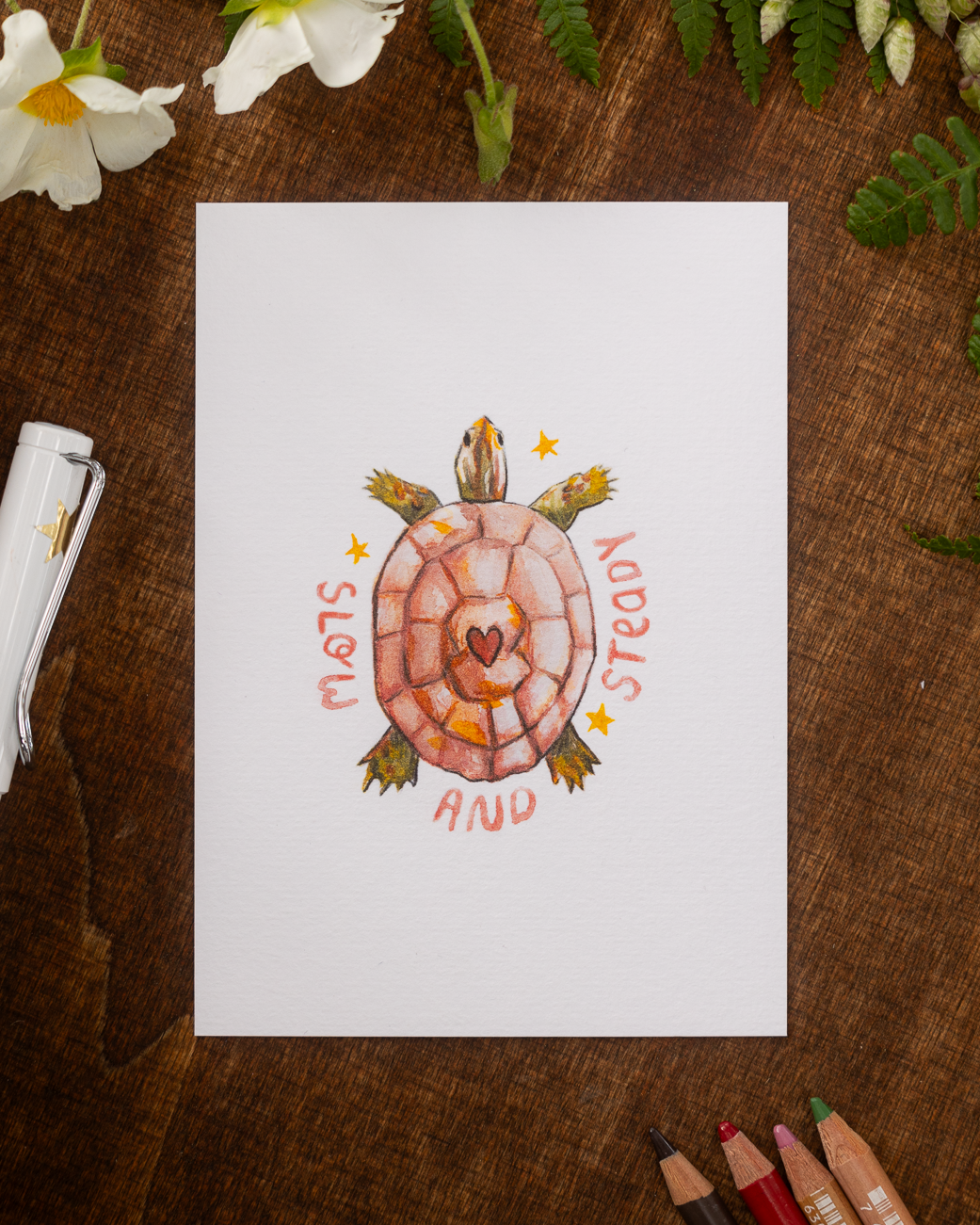"Slow and Steady" Postcard