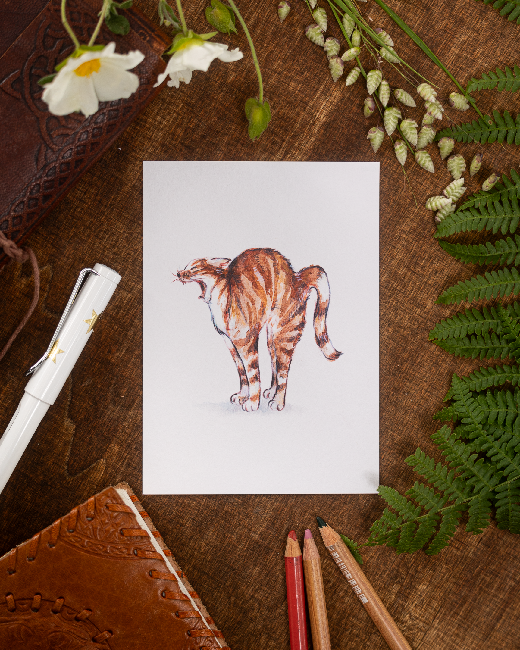 "Big Yawn" Postcard