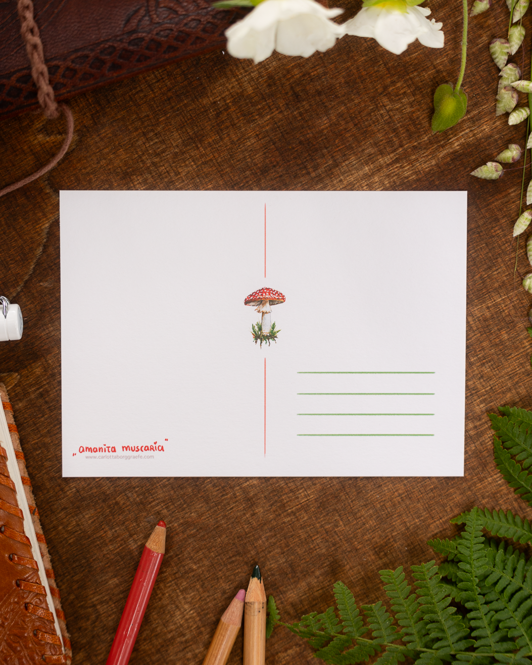 neue-renderings-9.png