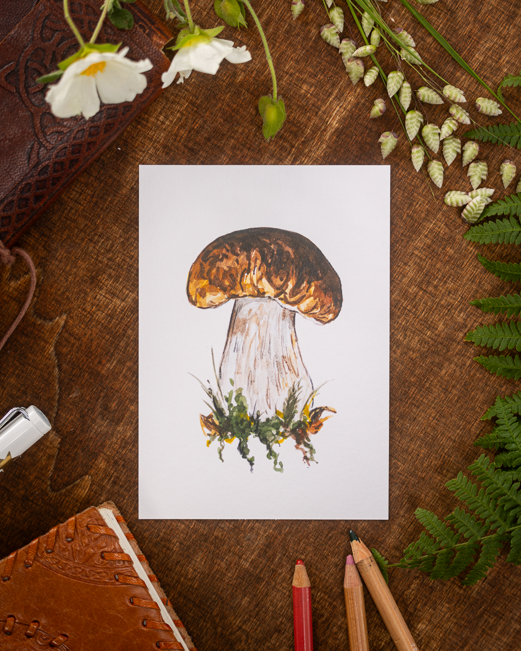 "Steinpilz" Postcard