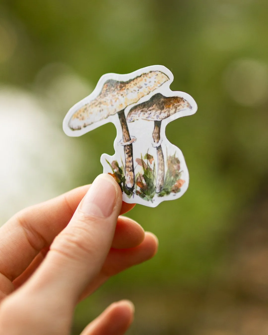 postcards-stickers-32.jpg
