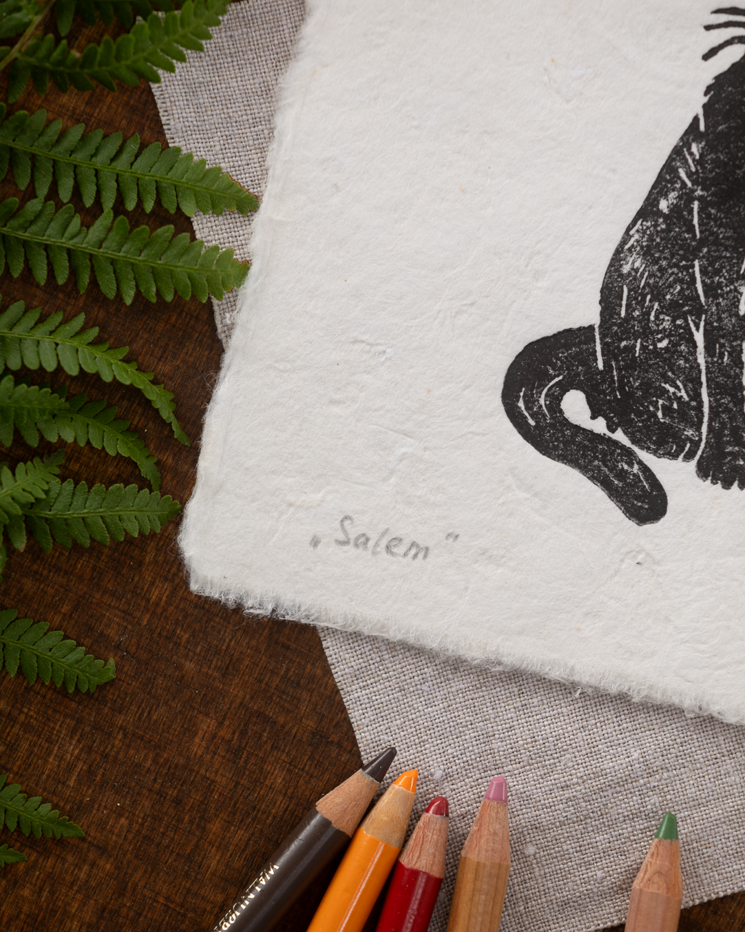 neue-renderings-80.png