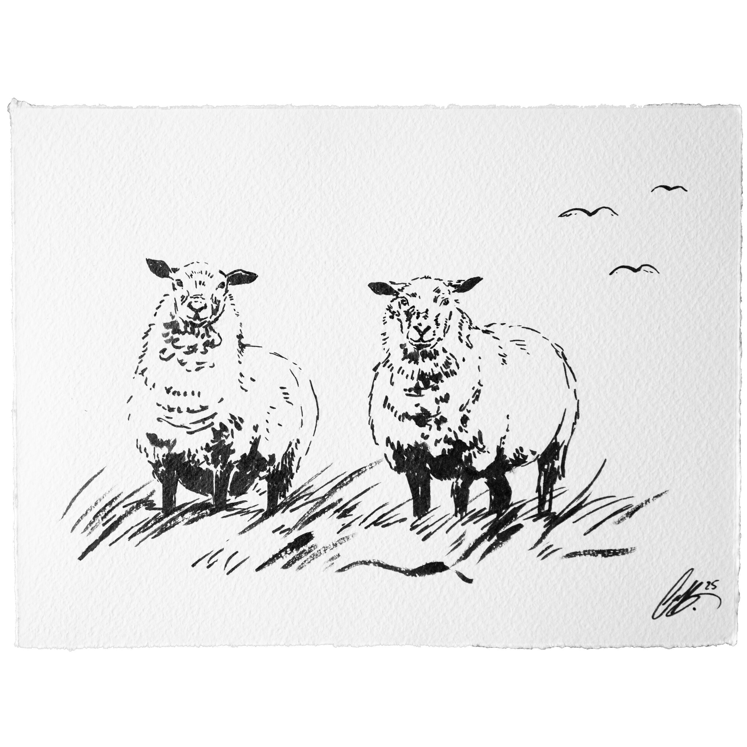 Nordseeruf "Auf'm Deich" Ink Original