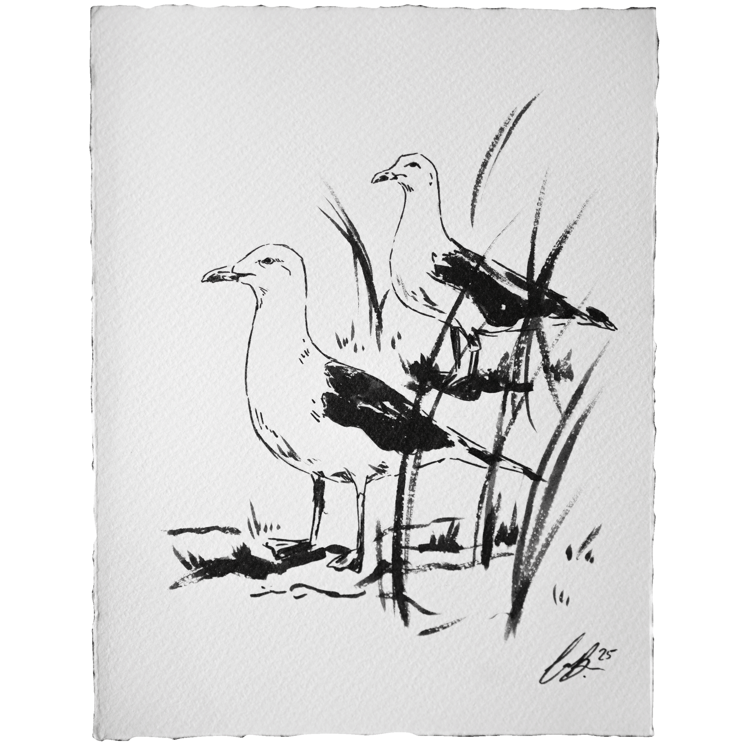 Nordseeruf "Kumpel" Ink Original