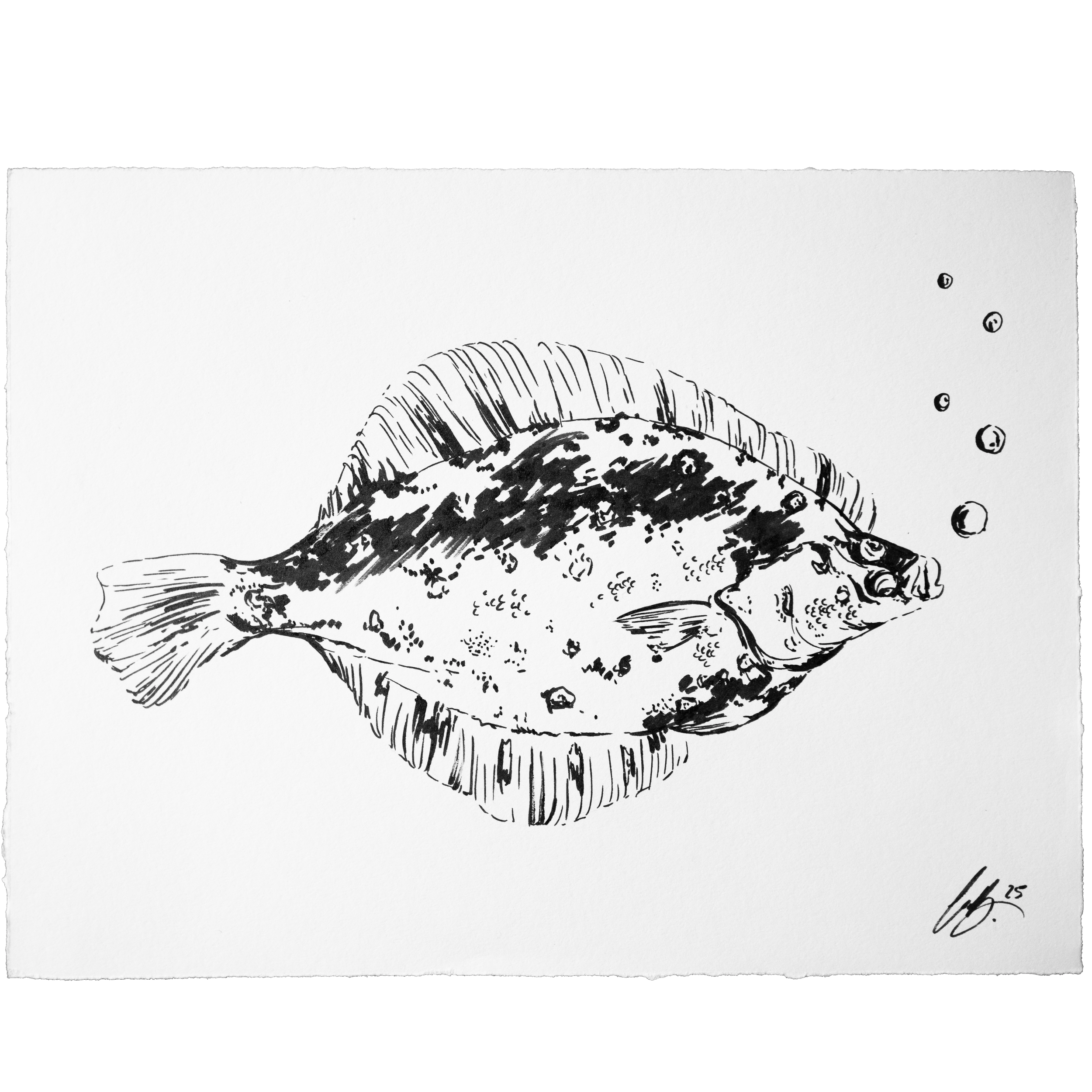 Nordseeruf "Platt" Ink Original