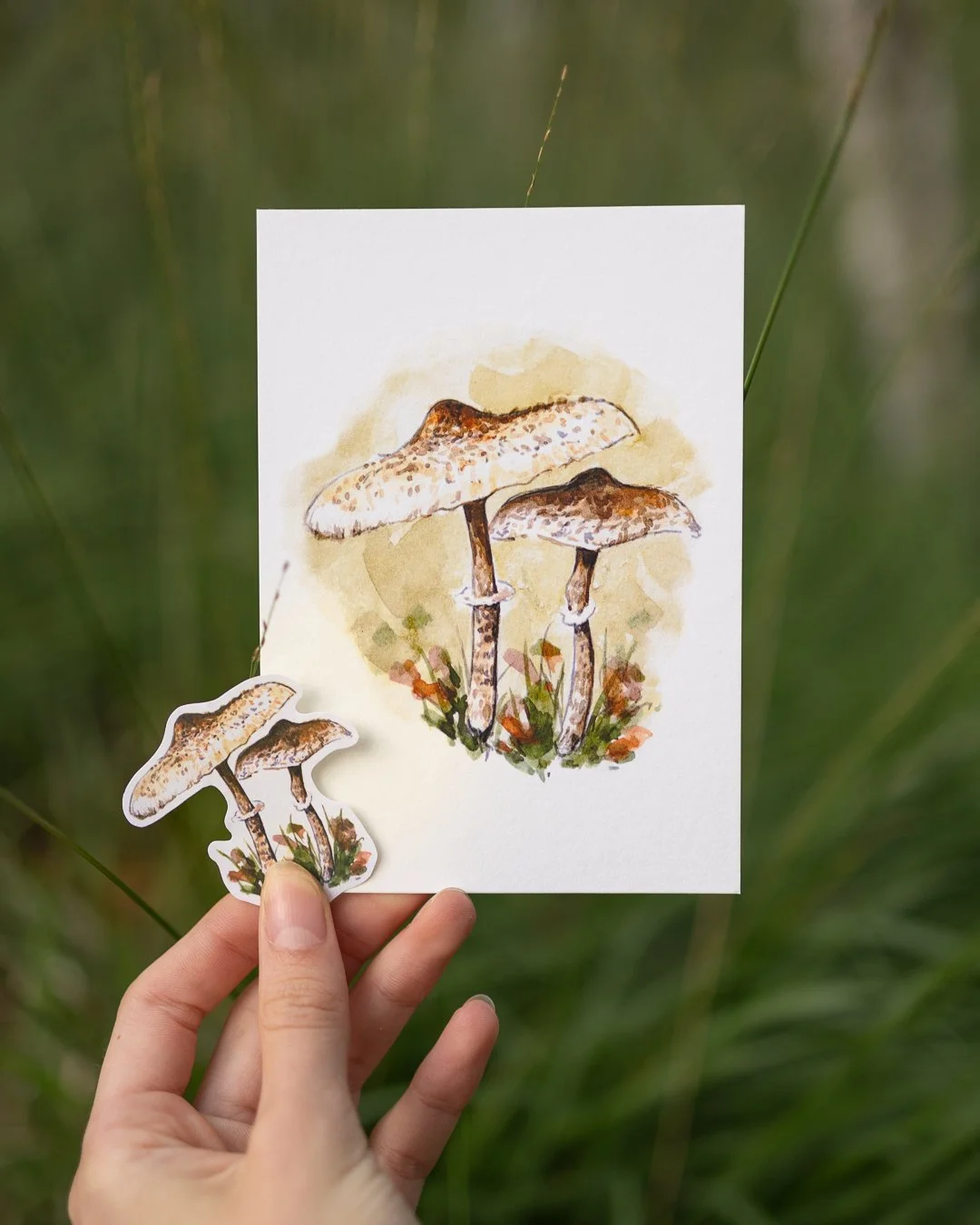 postcards-stickers-34.jpg