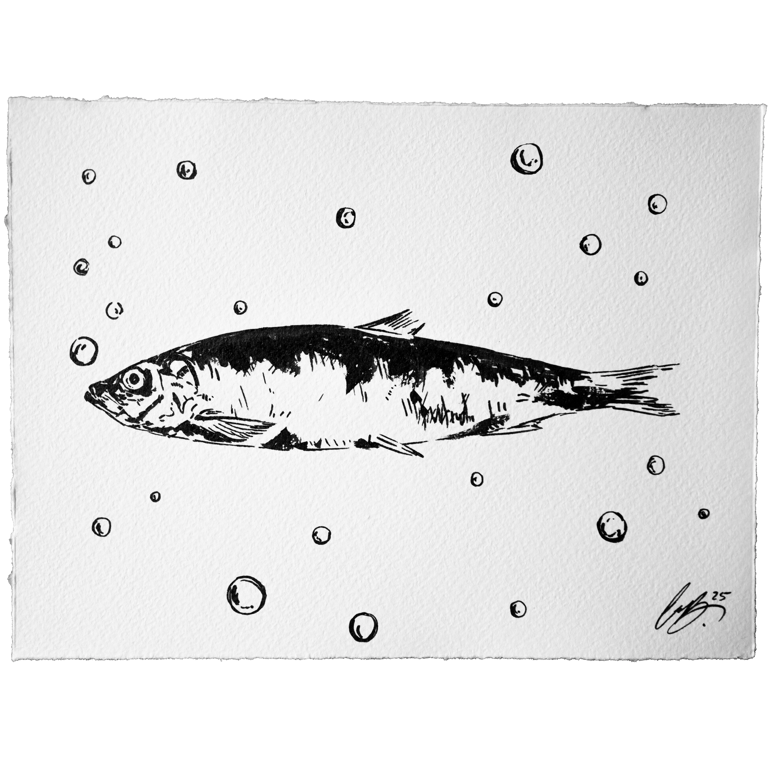 Nordseeruf "Hering I" Ink Original