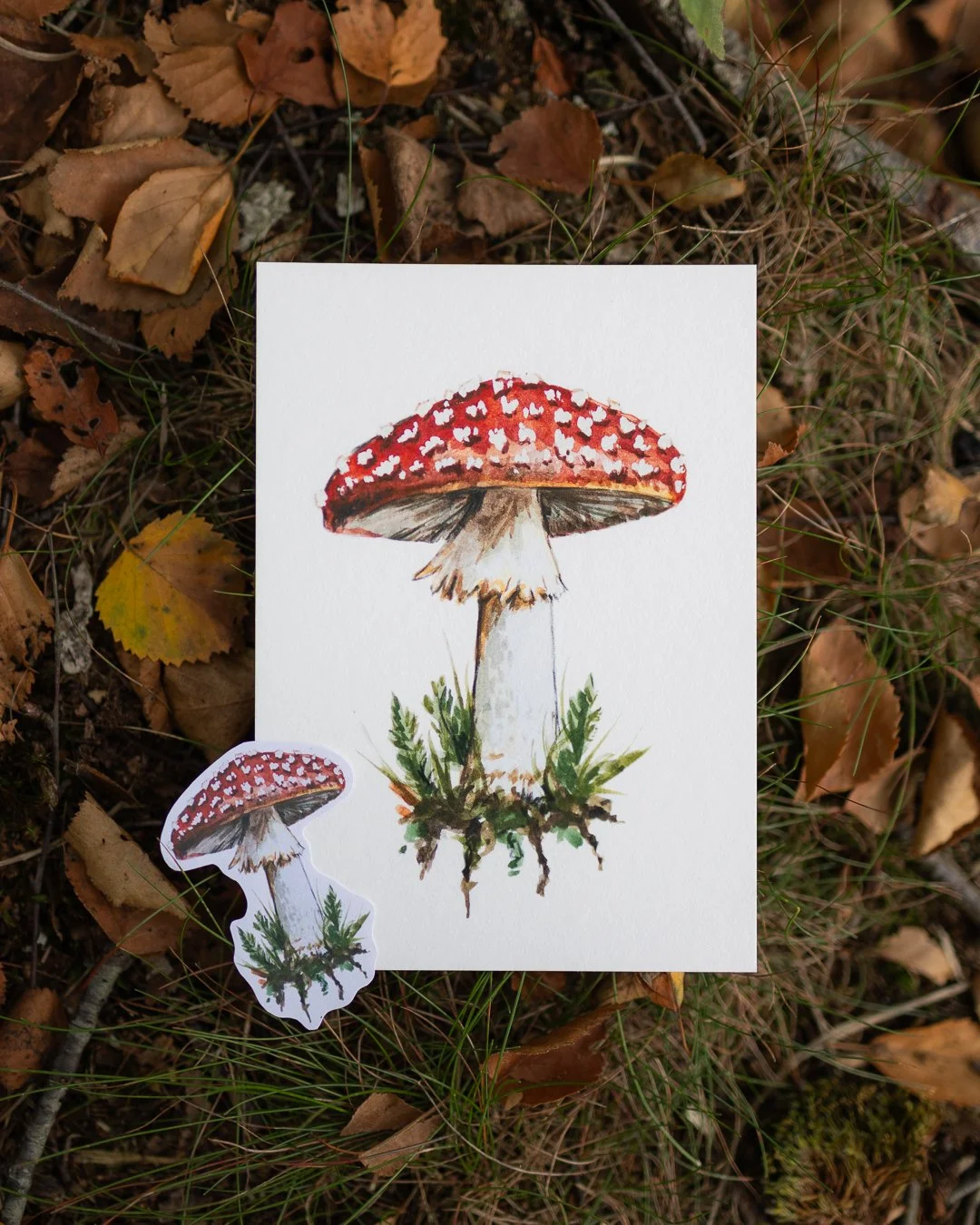 postcards-stickers-27.jpg
