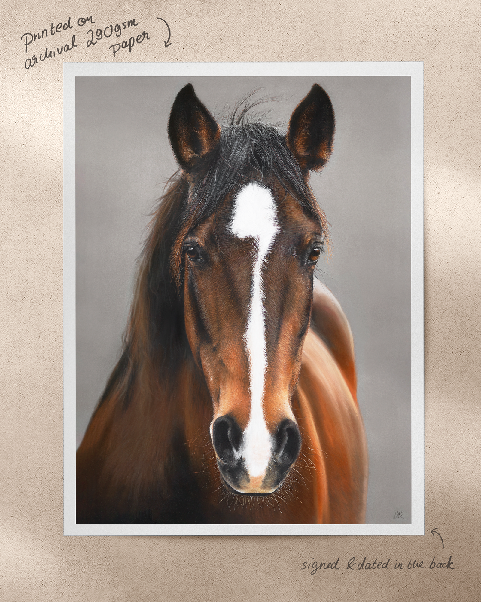 "Canela" Fine Art Print