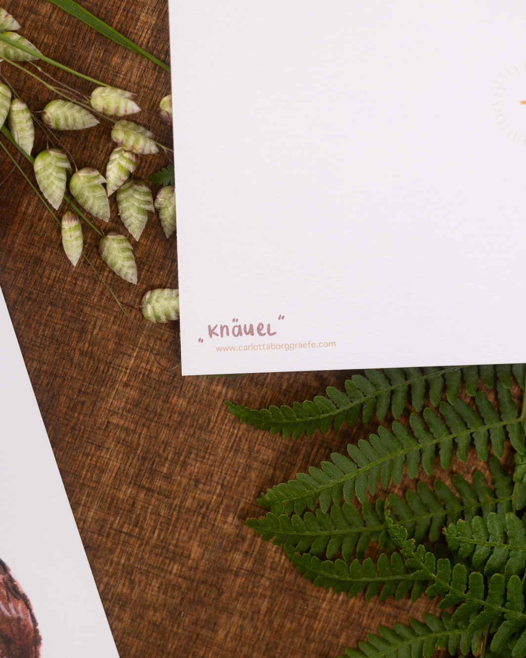 neue-renderings-6.png