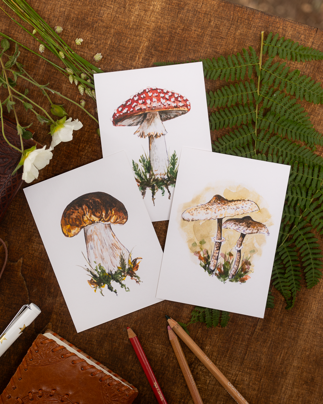 Mushroom Postcard Set