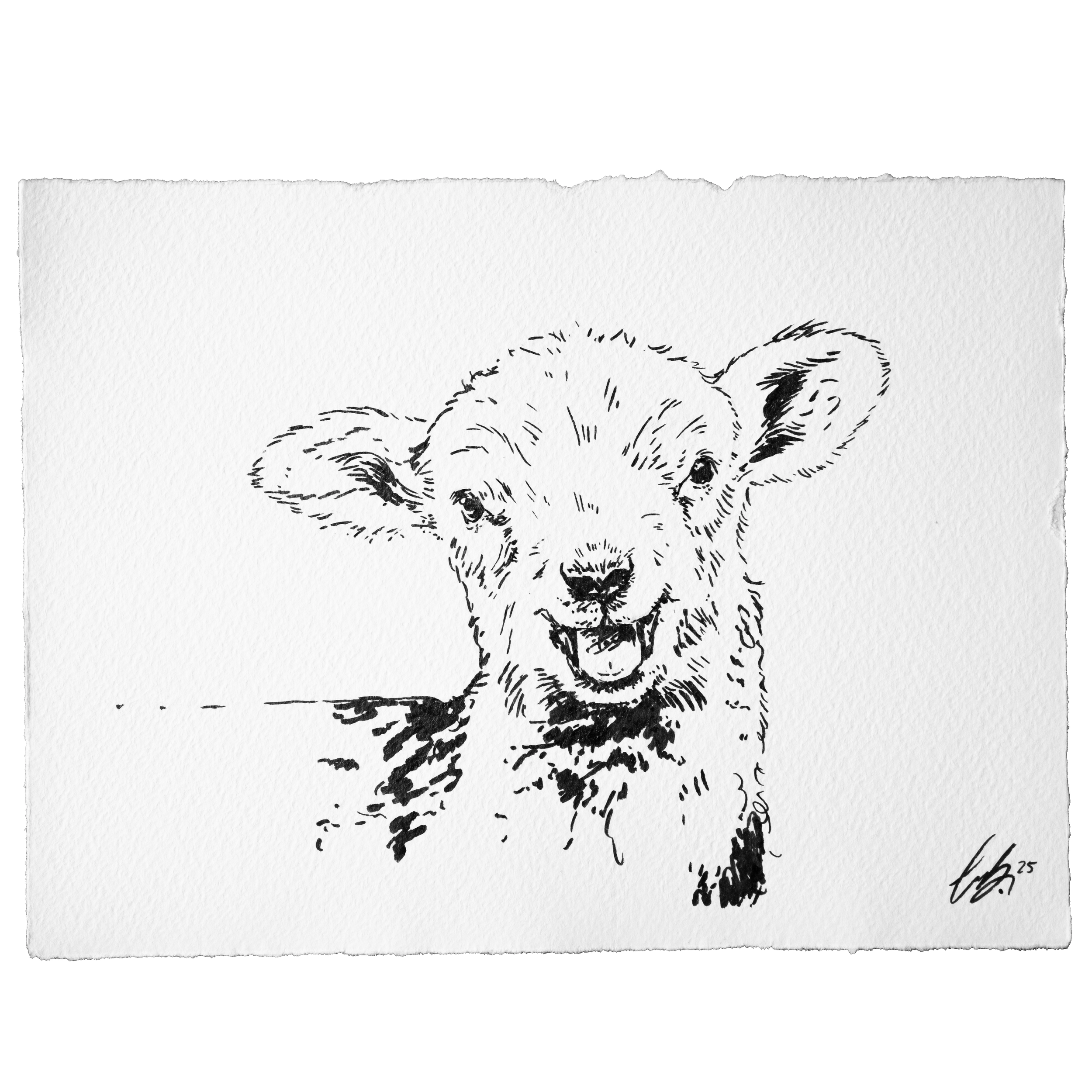 Nordseeruf "Gute-Laune-Lamm" Ink Original