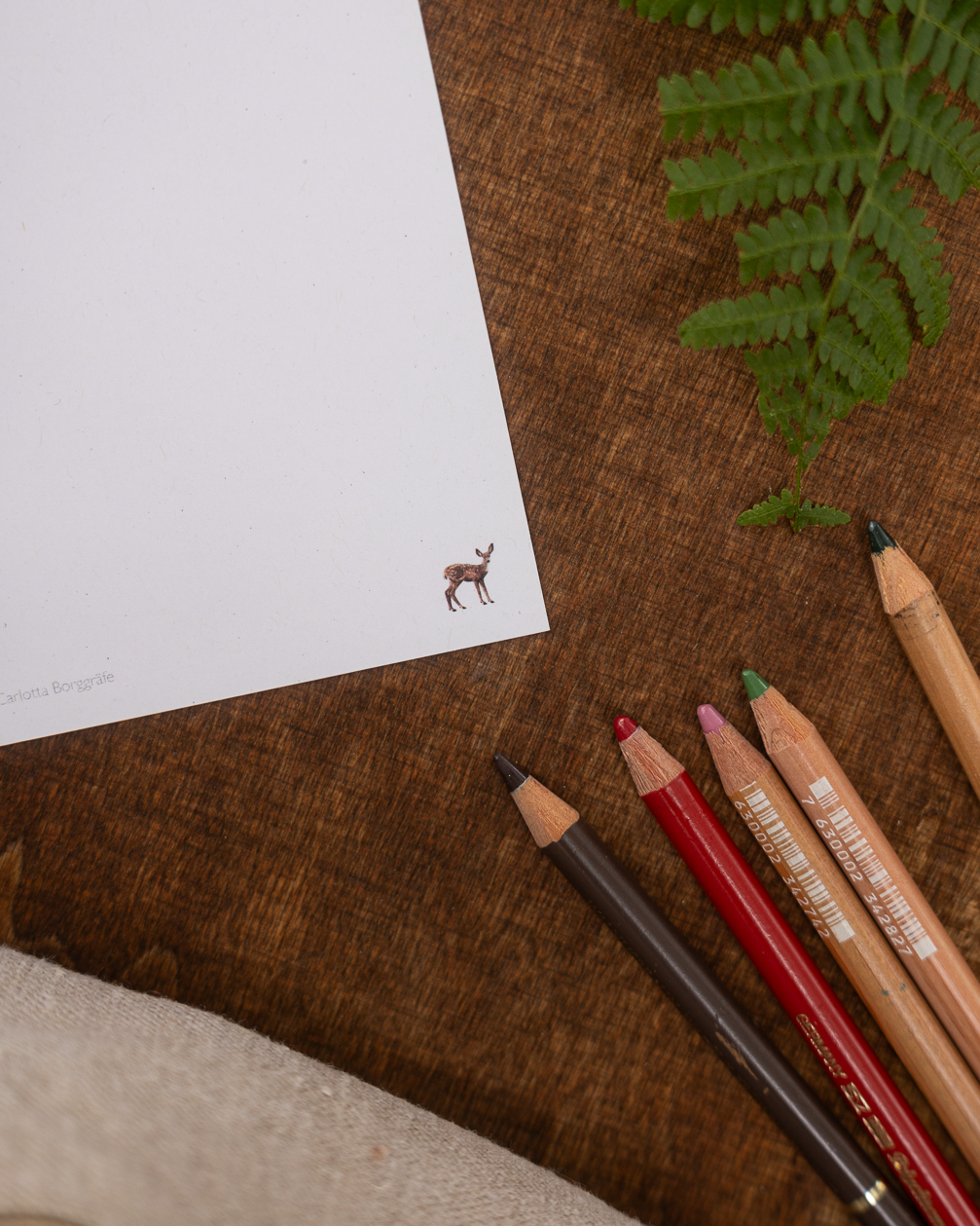 neue-renderings-26.png