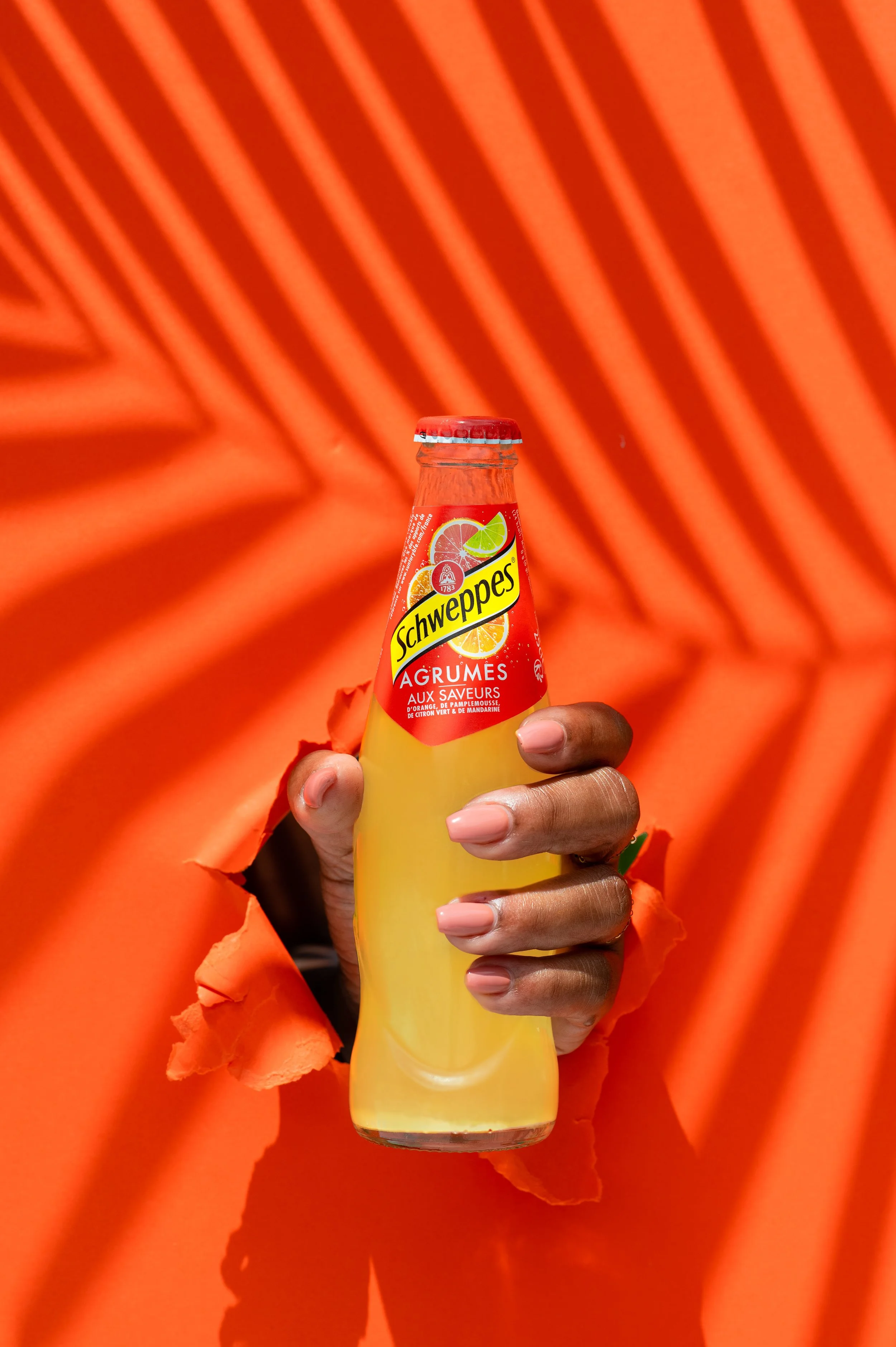 SCHWEPPES FWI (1).jpg