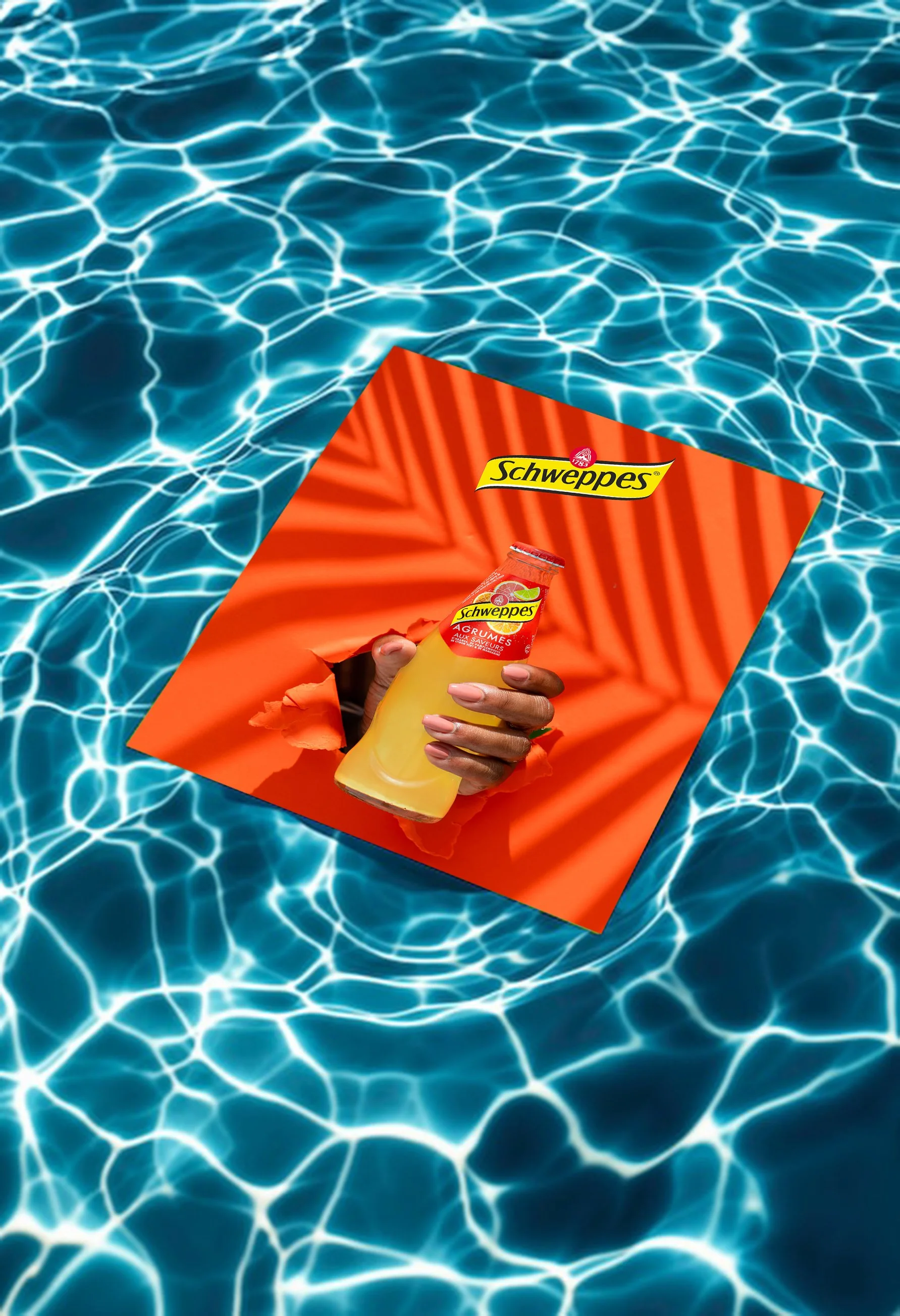 SCHWEPPES FWI mock up.jpg