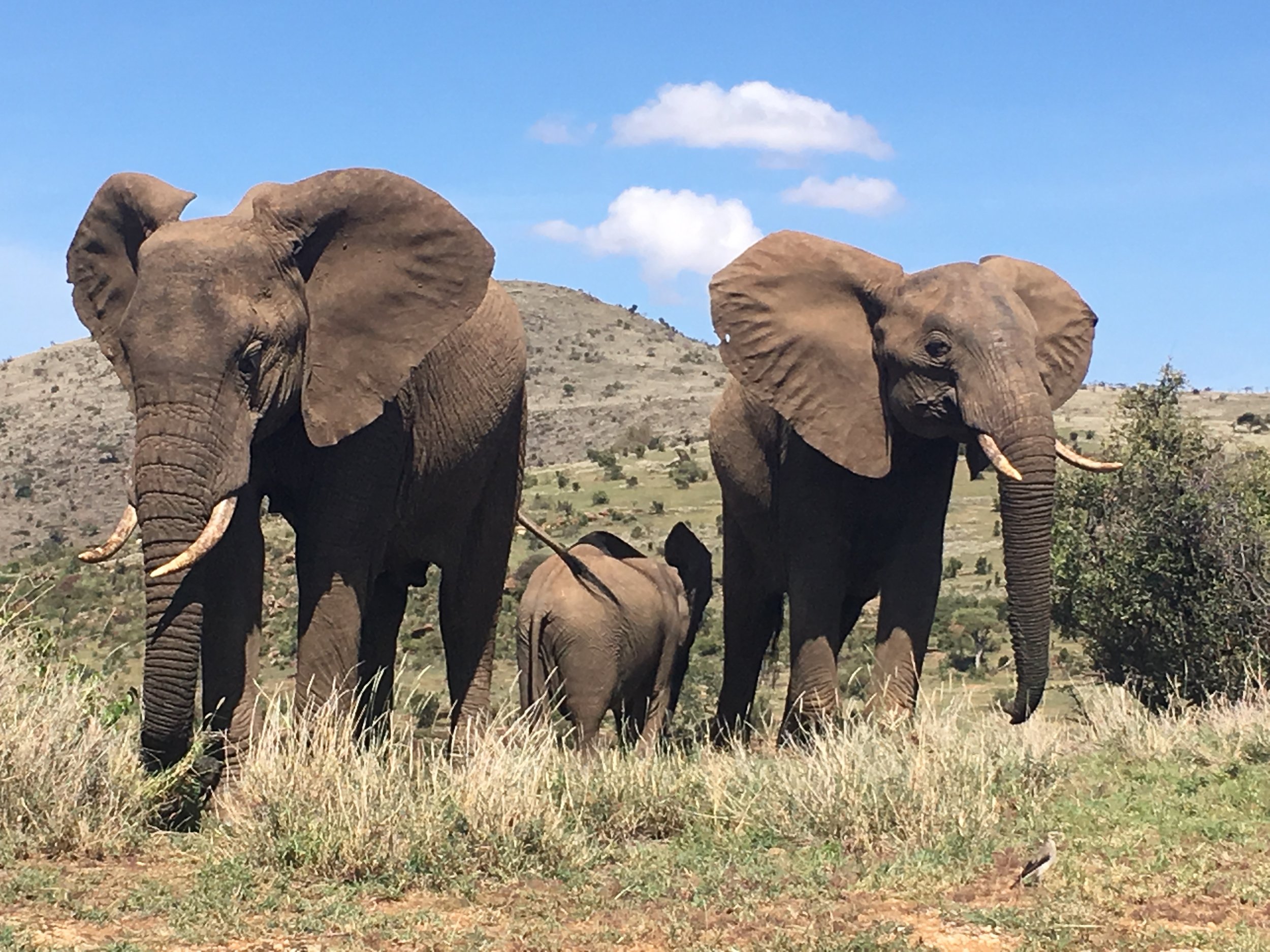 Father & Son Service Adventure in Tanzania