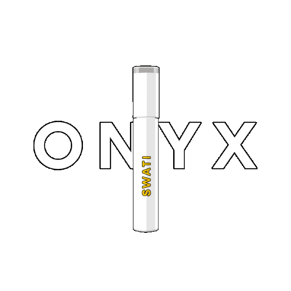 GIPHY_Onyx.gif