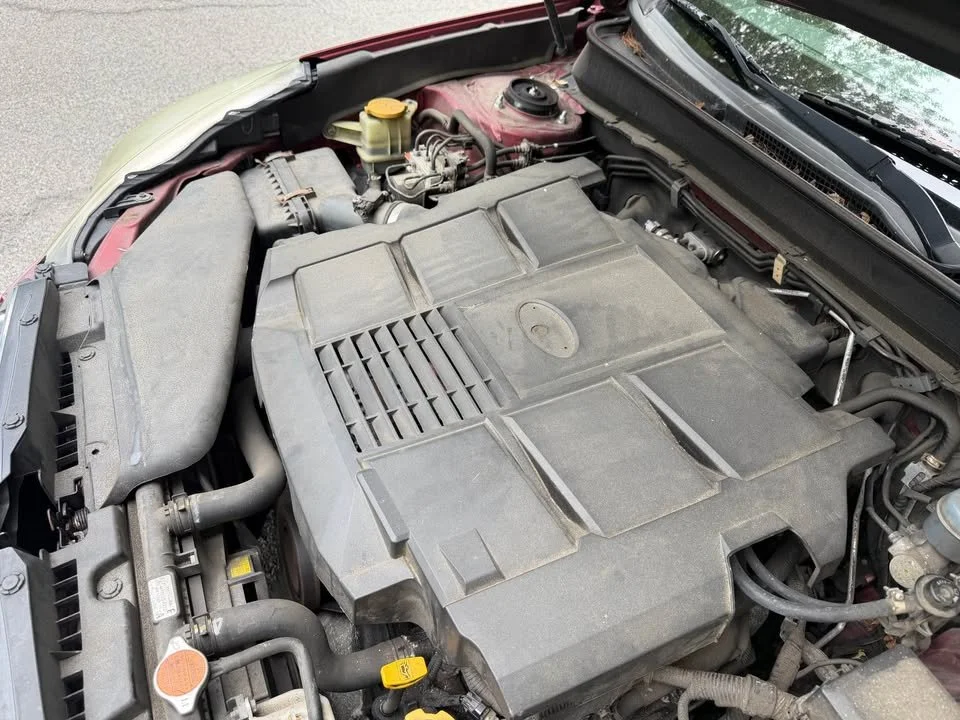 751388803_10165668415152704_3310141772873307490_n.jpg