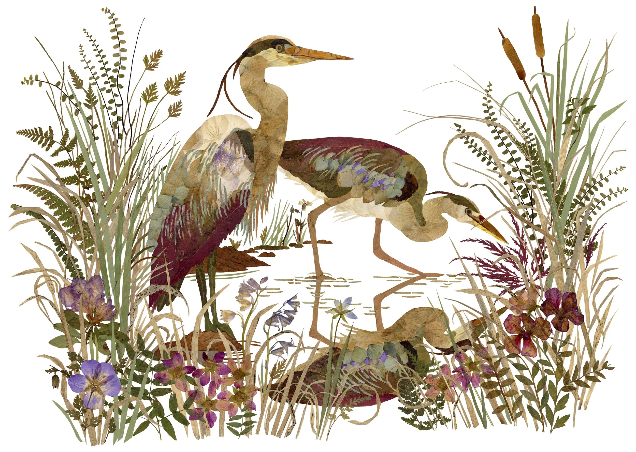 Herons and Malards print.jpg