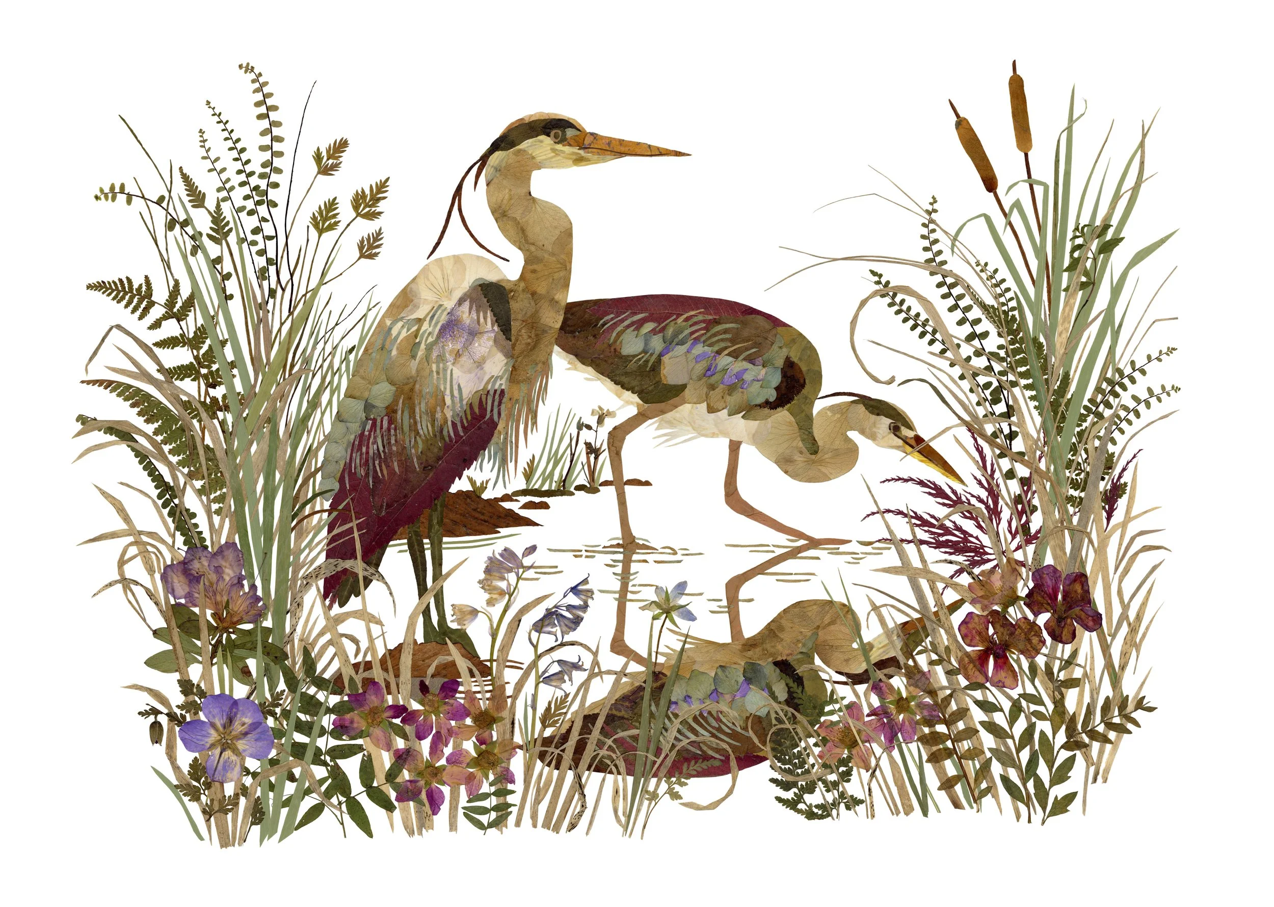 Heron Reflection print