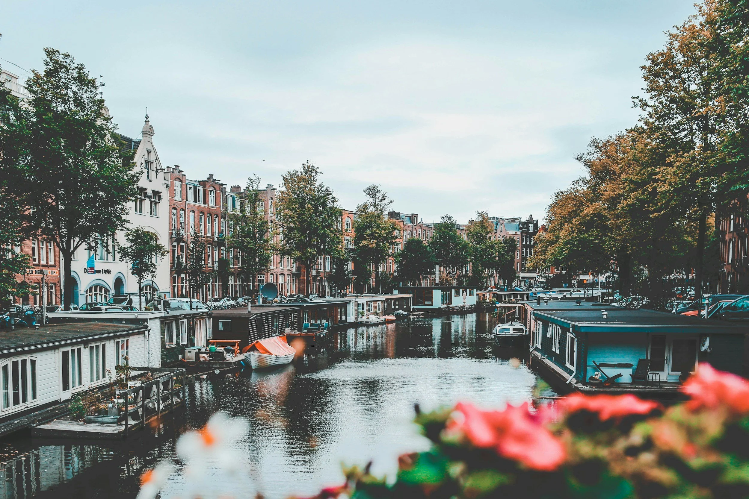 unsplash-image-QboRVYU6sfQ.jpg