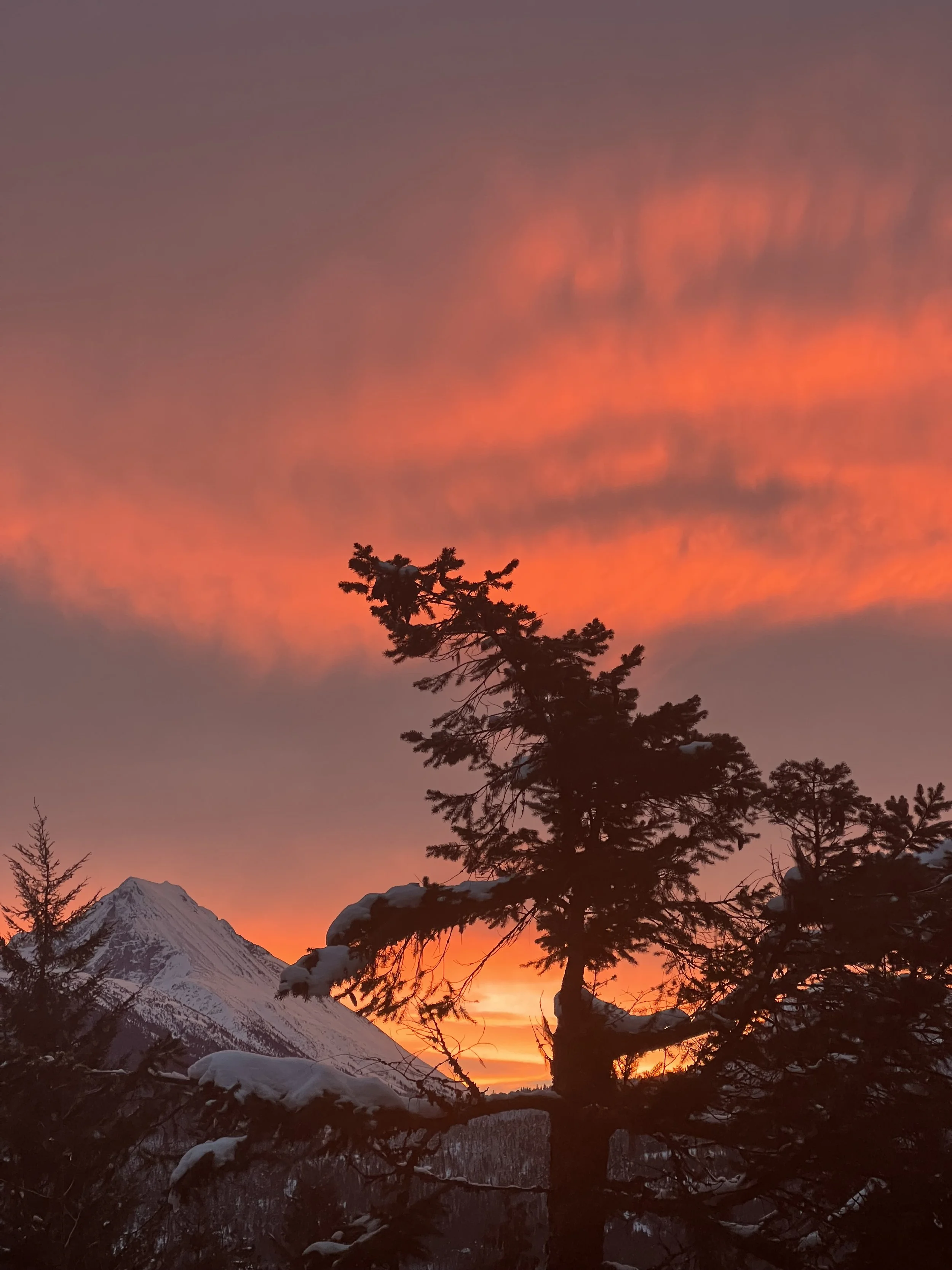 bookkeeping services