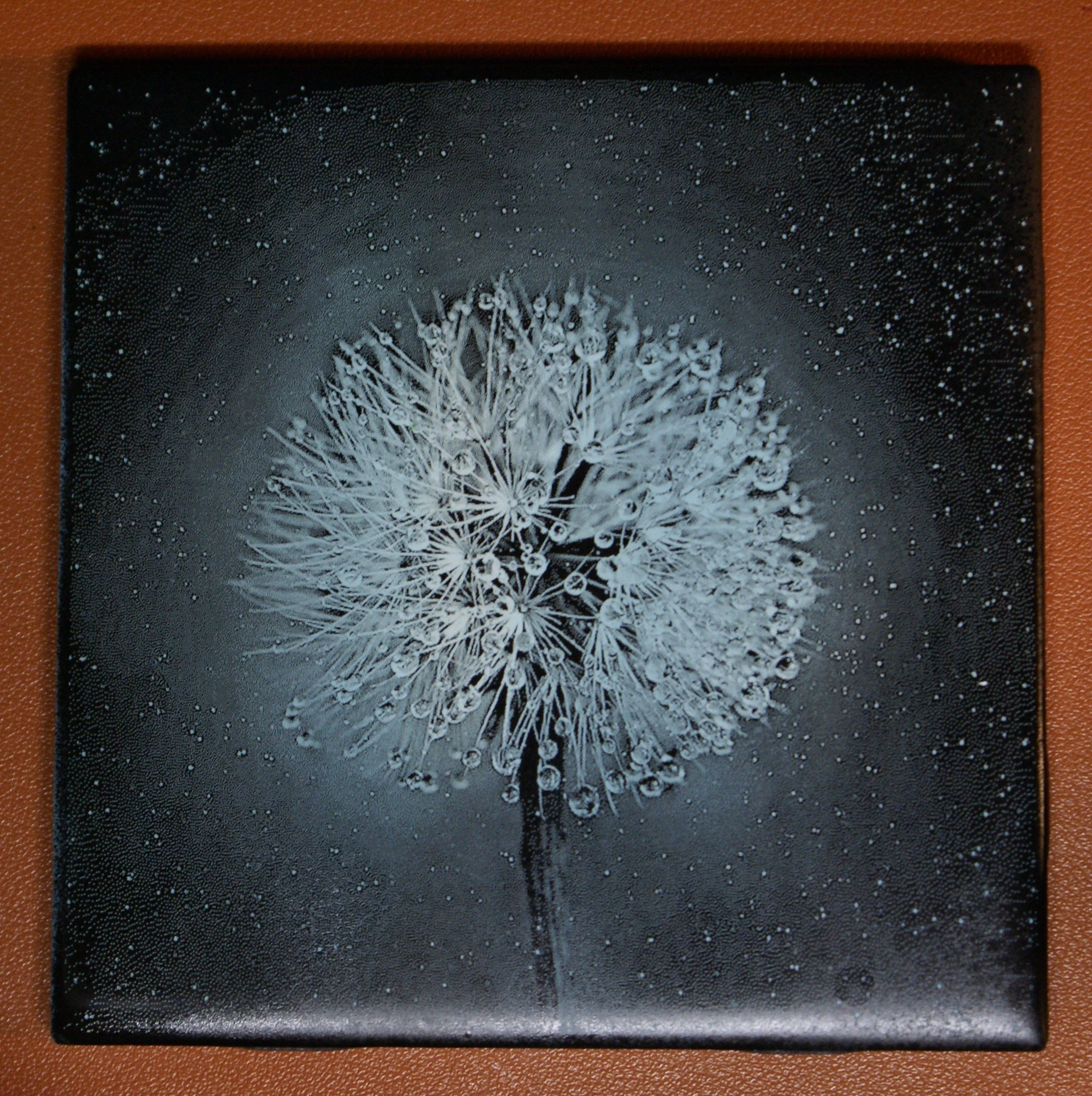 A black and white painting of a dandelion seed head with water droplets on the seeds, against a dark background.