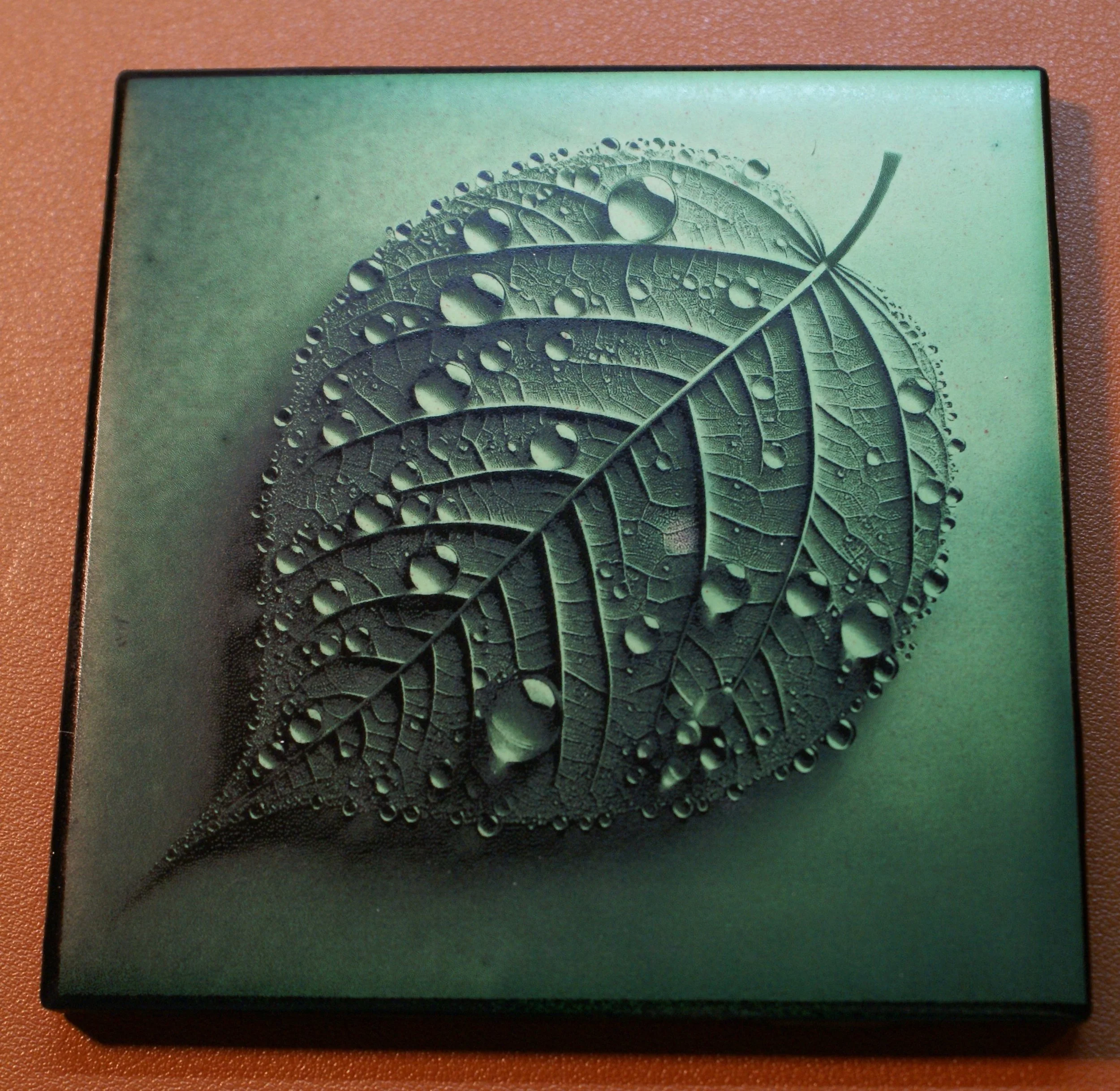 A square box with a leaf submerged in water and covered with water droplets, set against a textured background.