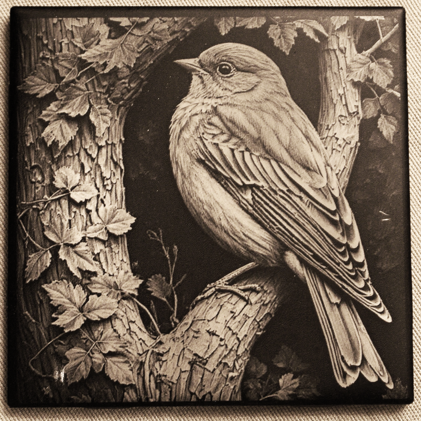 A detailed black and white drawing of a bird perched on a tree branch, surrounded by leaves and bark.