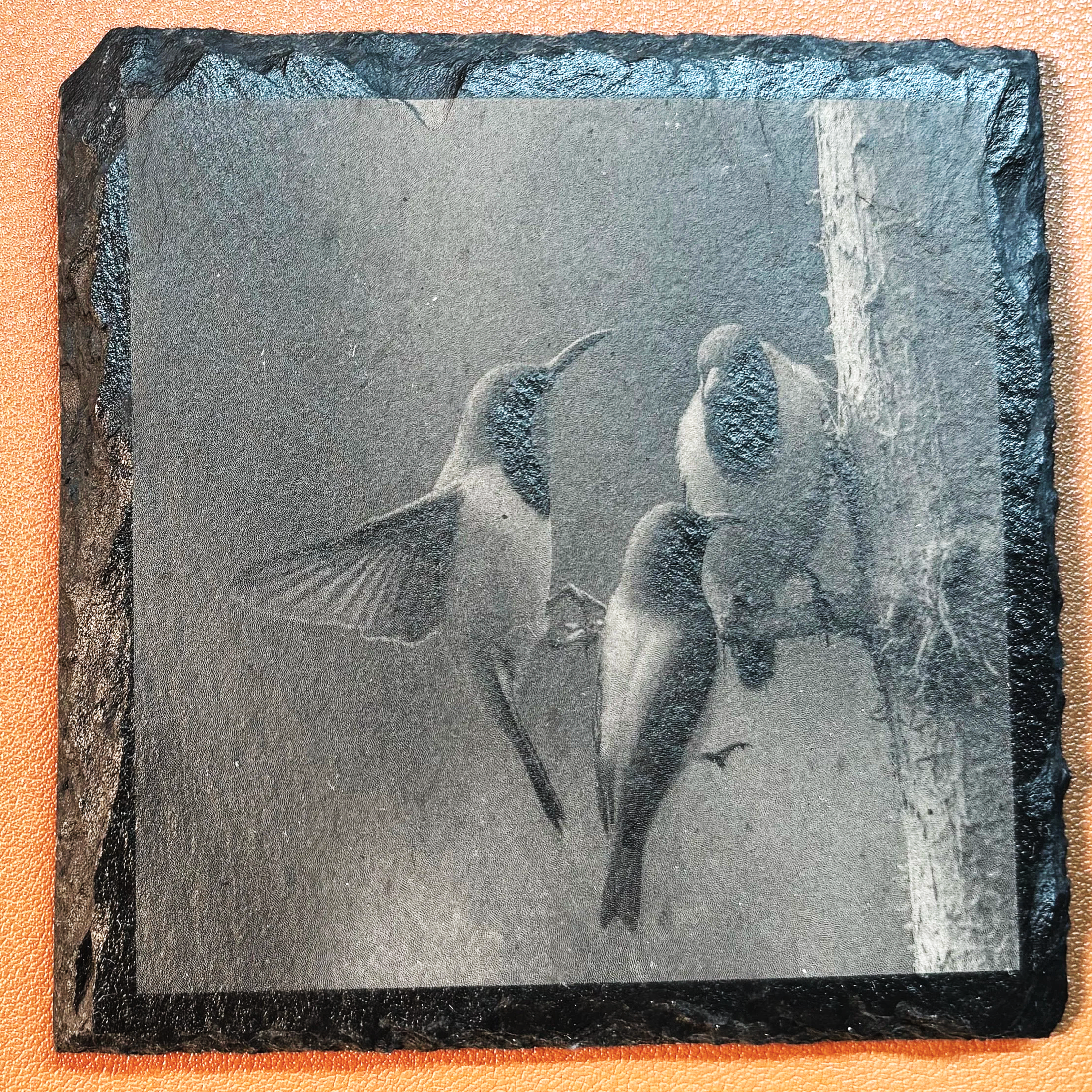Black and white image of three birds perched on a tree branch, with a textured border.