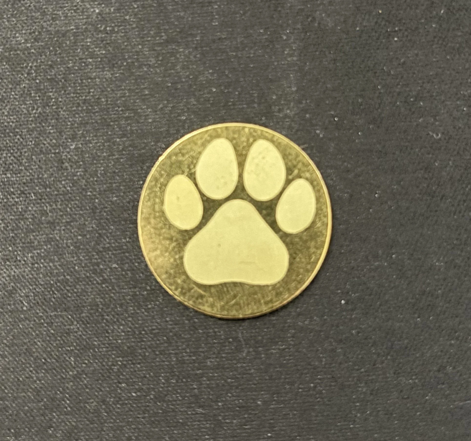 Gold-colored coin with a paw print design on a dark textured background.