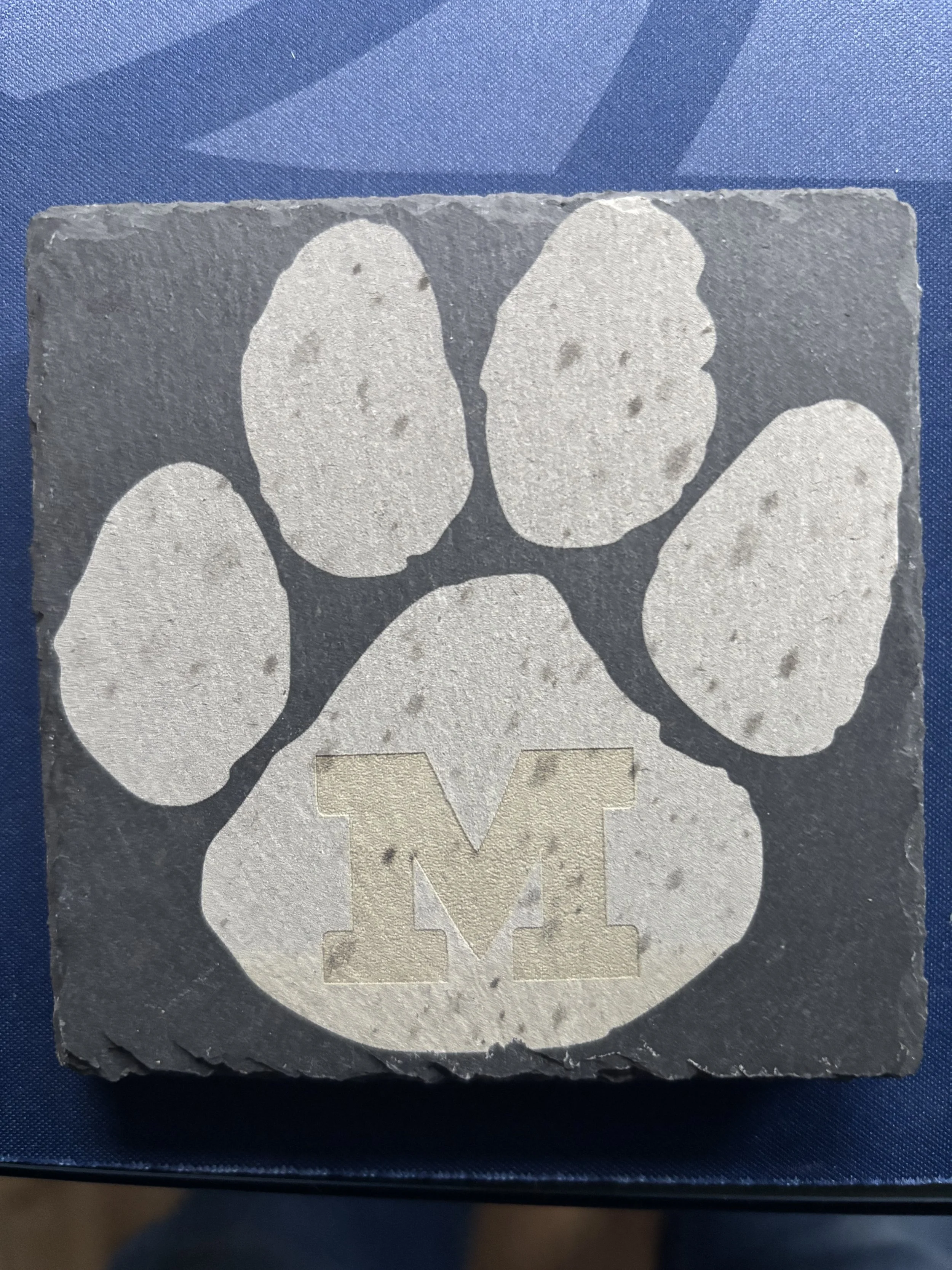A stone tile with a paw print design and a gold letter 'M' in the center.