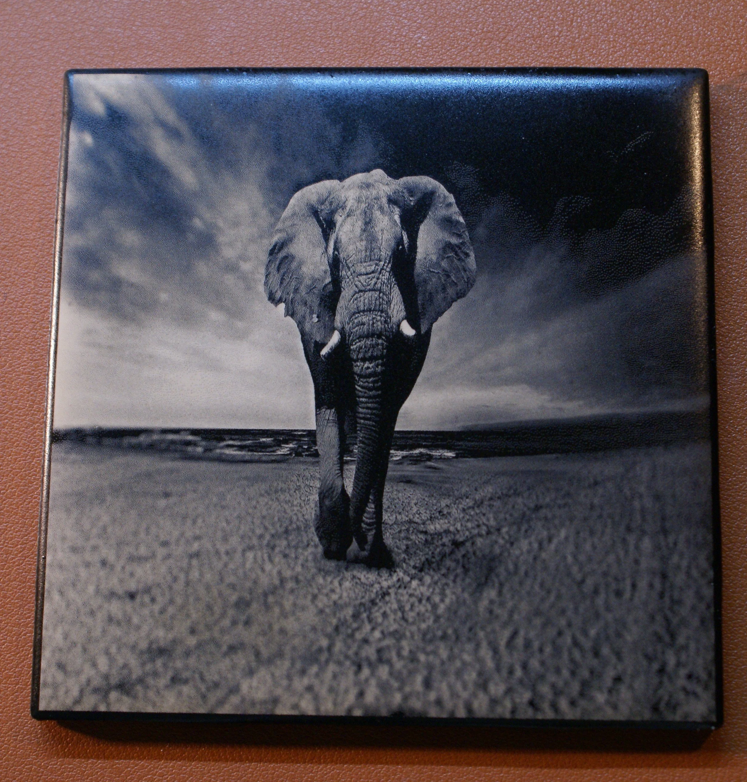 Black and white photo of an elephant walking on a sandy beach with cloudy sky in the background.