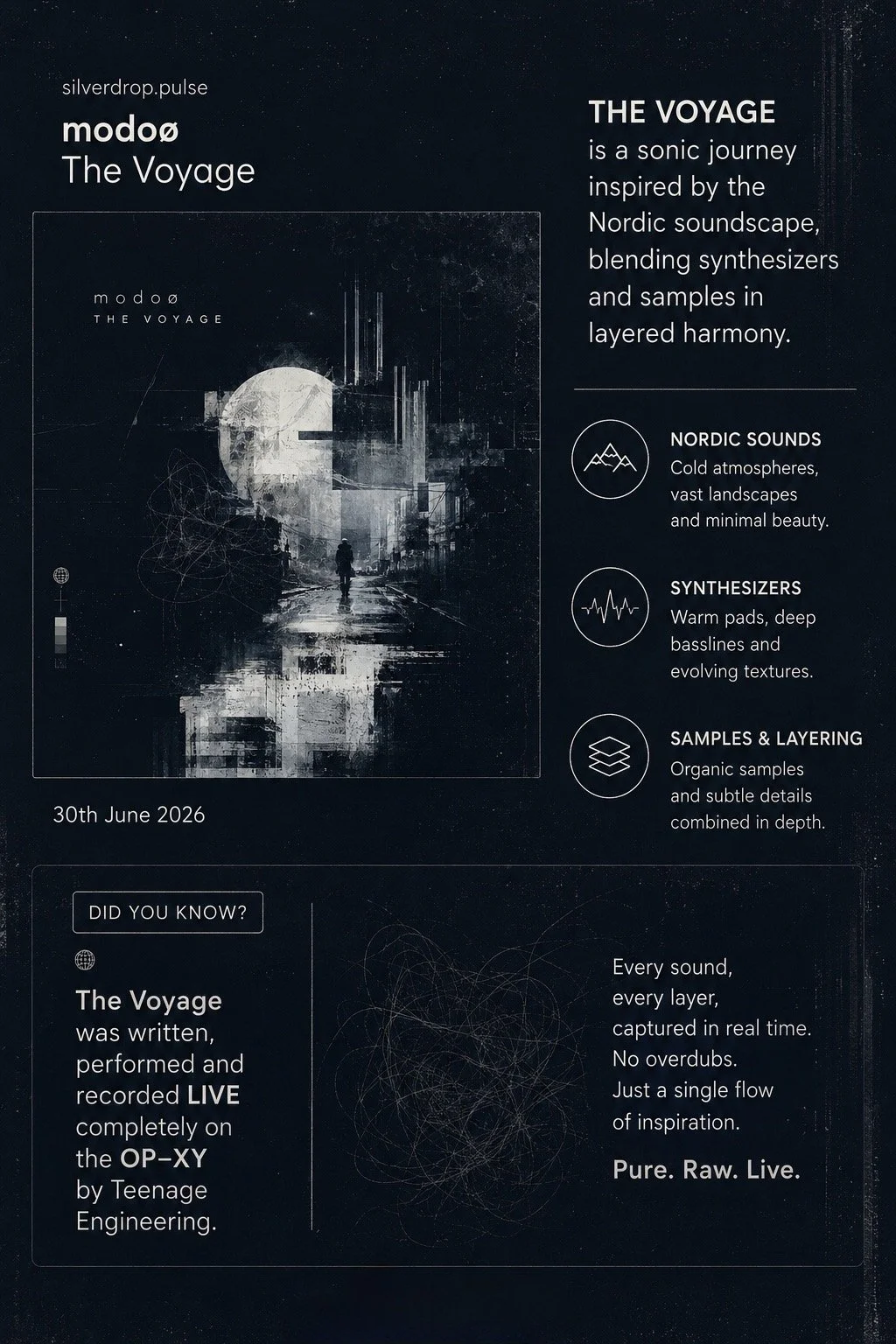 Poster promozionale per il progetto sonoro 'The Voyage' ispirato ai paesaggi nordici, che combina sintetizzatori, campioni organici e stratificazioni in profondità, con data 30 giugno 2026.