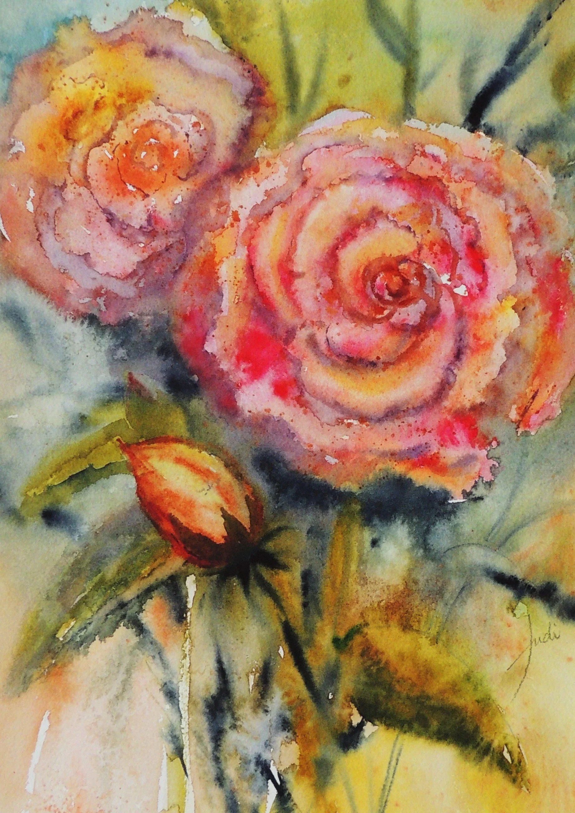 Sunset Rose [2016].JPG